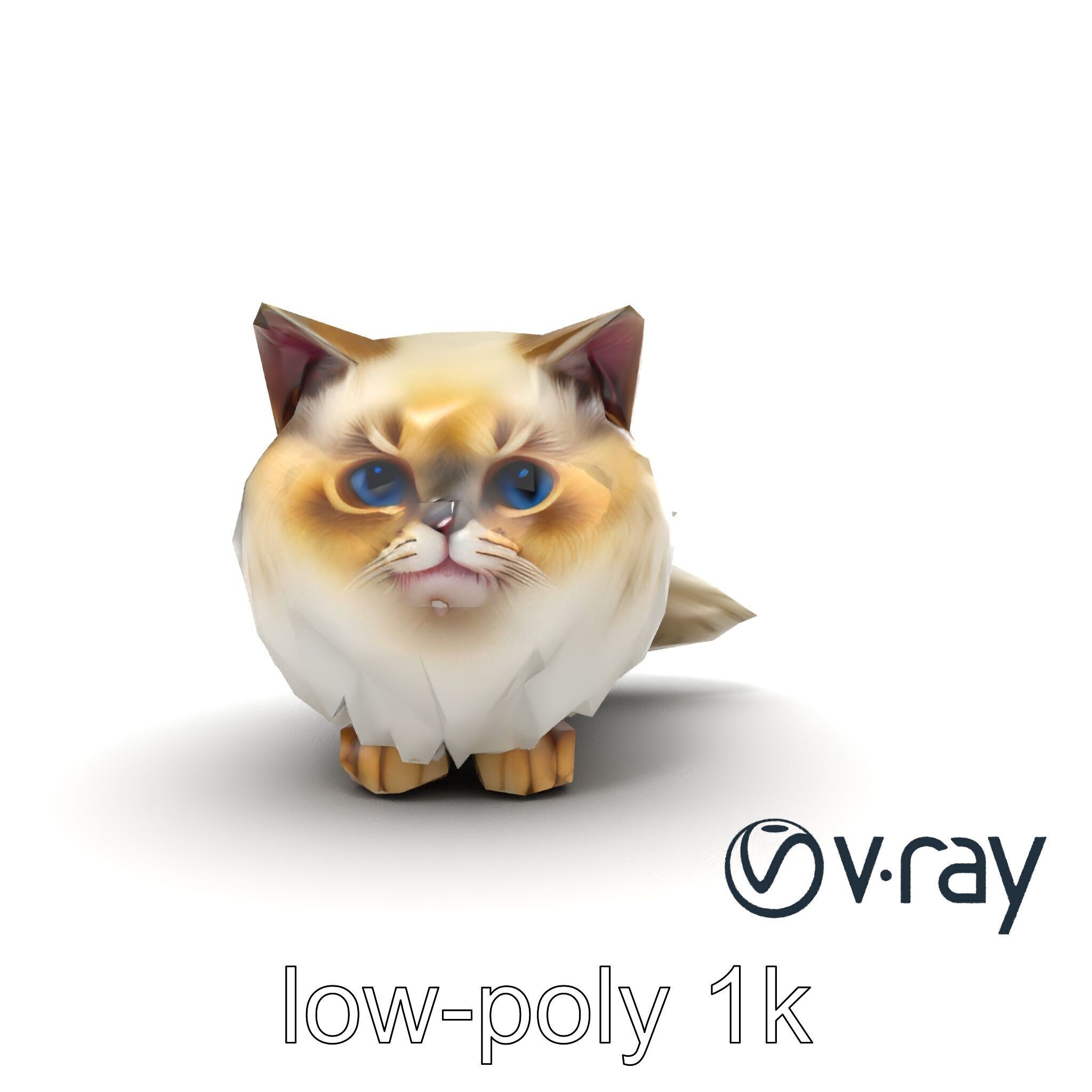 VelvetPaw Persian Cat model pack Low-poly 3D model_29