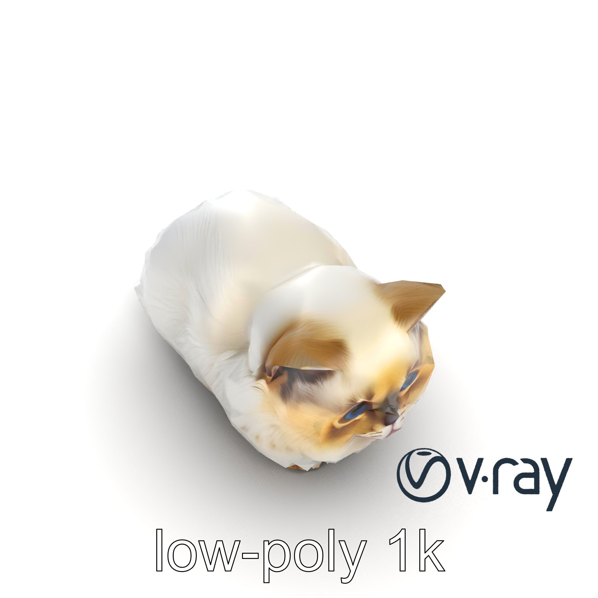 VelvetPaw Persian Cat model pack Low-poly 3D model_31