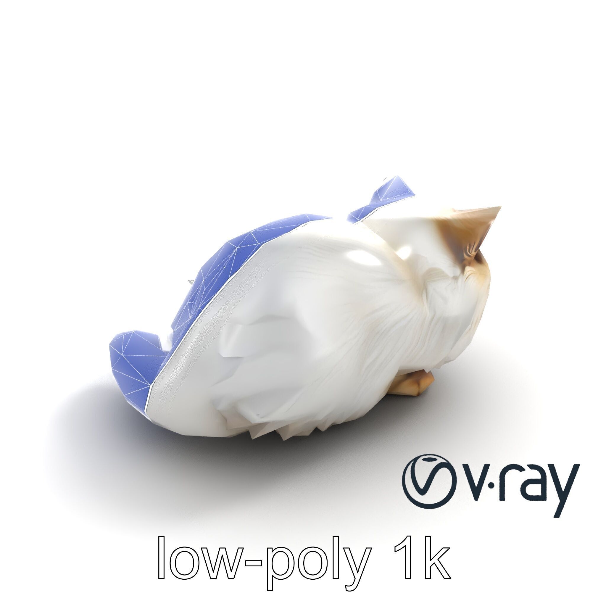 VelvetPaw Persian Cat model pack Low-poly 3D model_13
