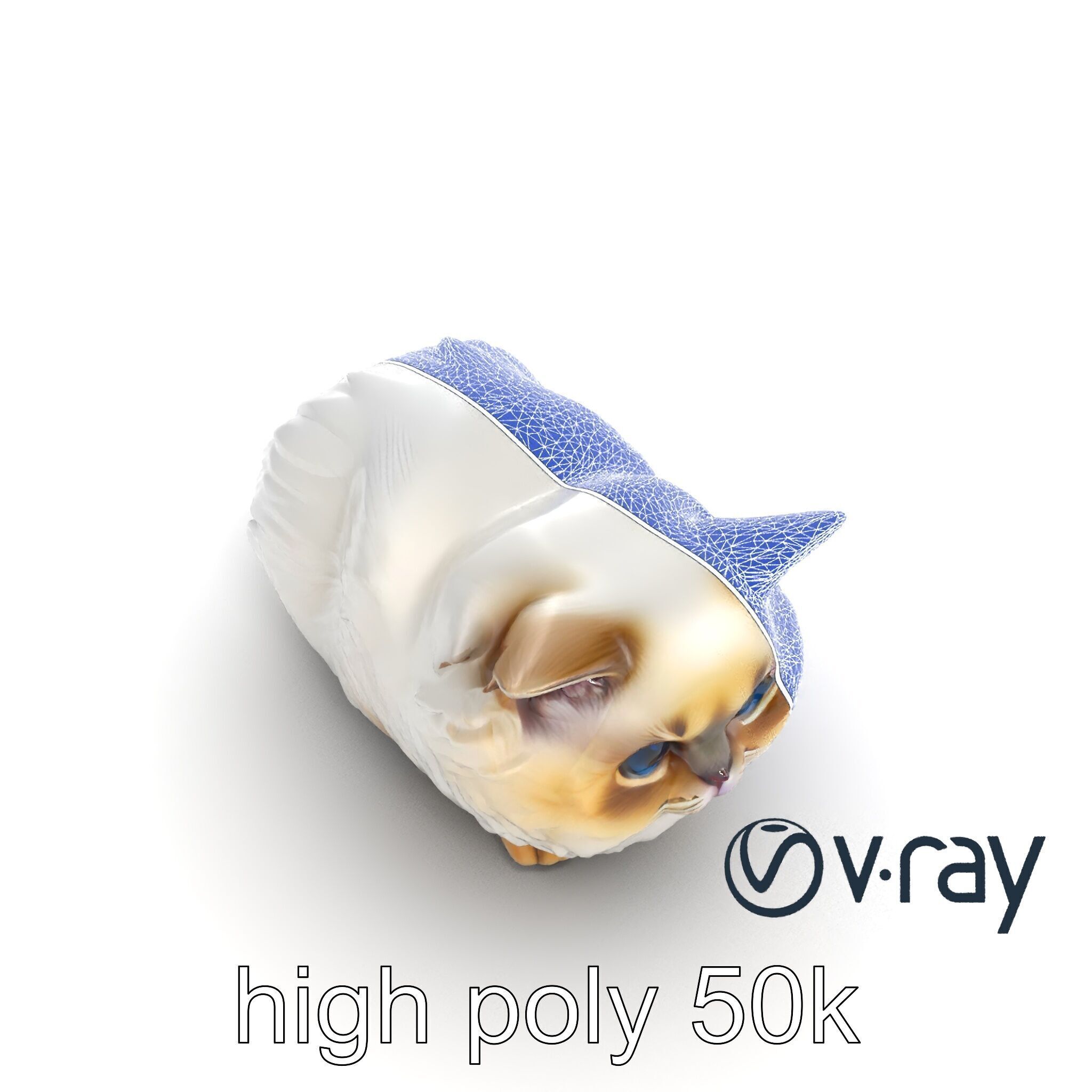 VelvetPaw Persian Cat model pack Low-poly 3D model_30