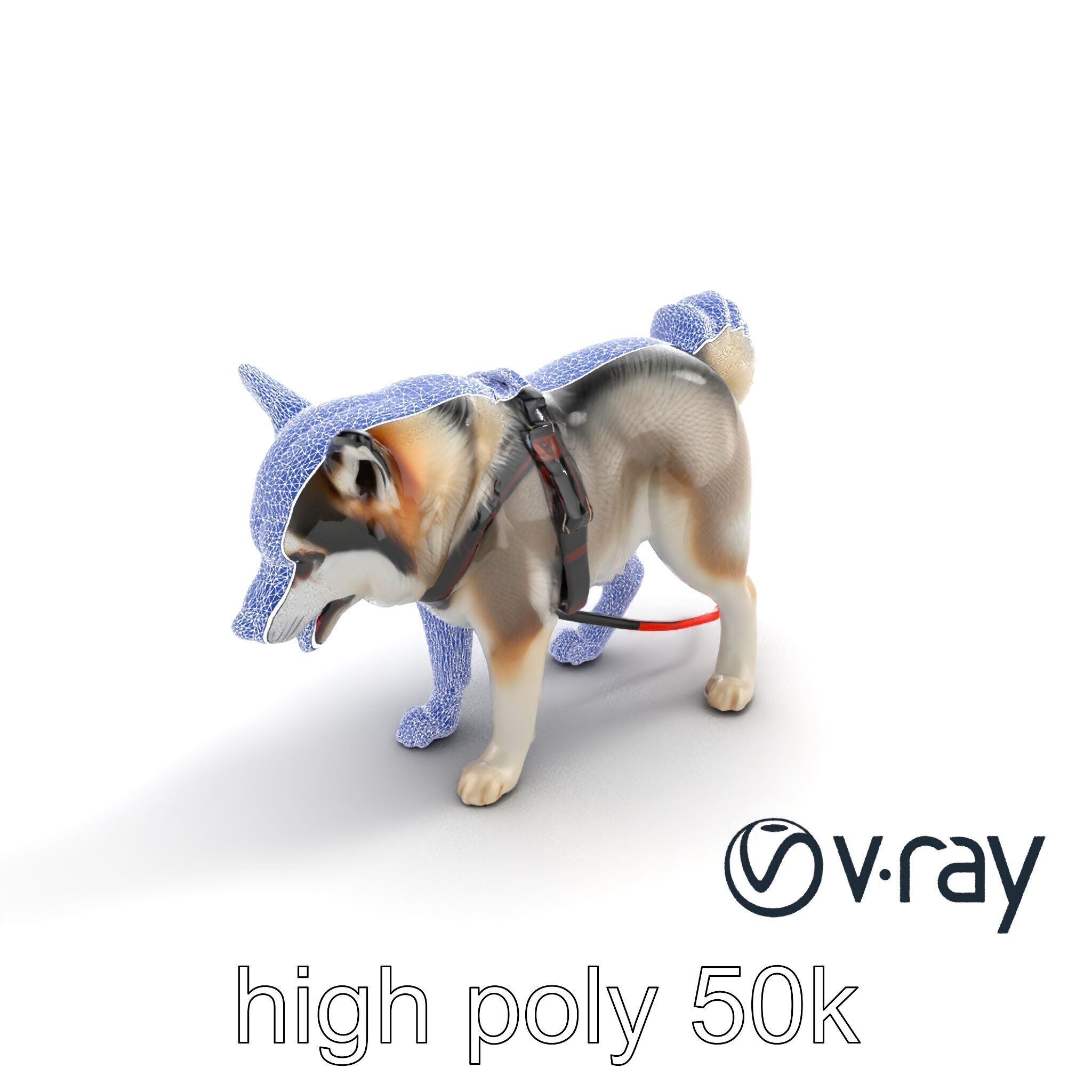 MidnightWhisker Sphynx Cat model pack Low-poly 3D model_25