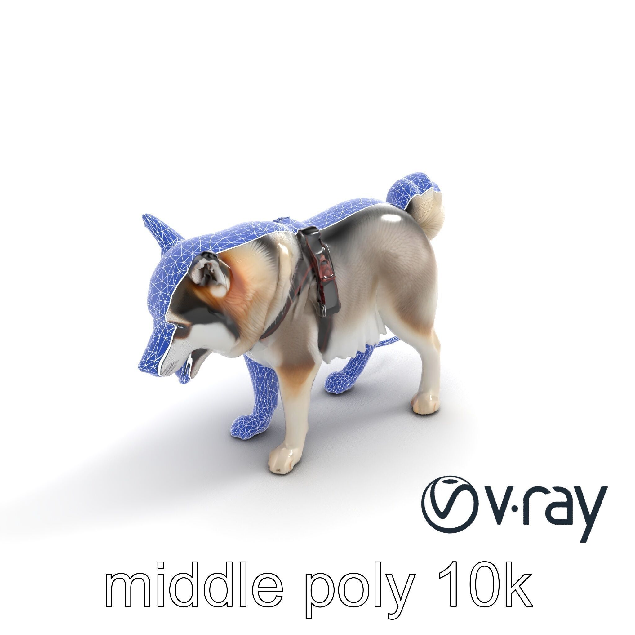 MidnightWhisker Sphynx Cat model pack Low-poly 3D model_12