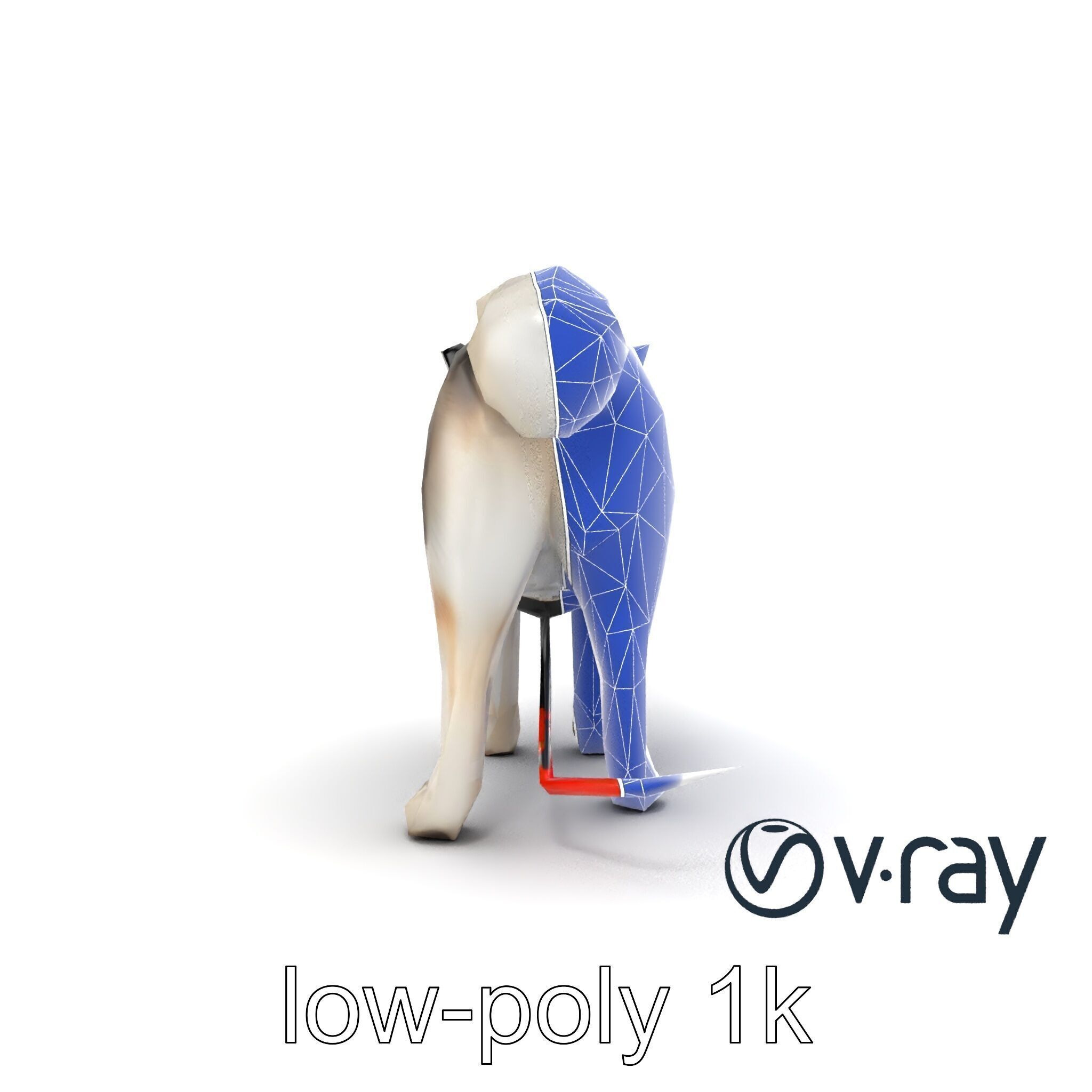 MidnightWhisker Sphynx Cat model pack Low-poly 3D model_19