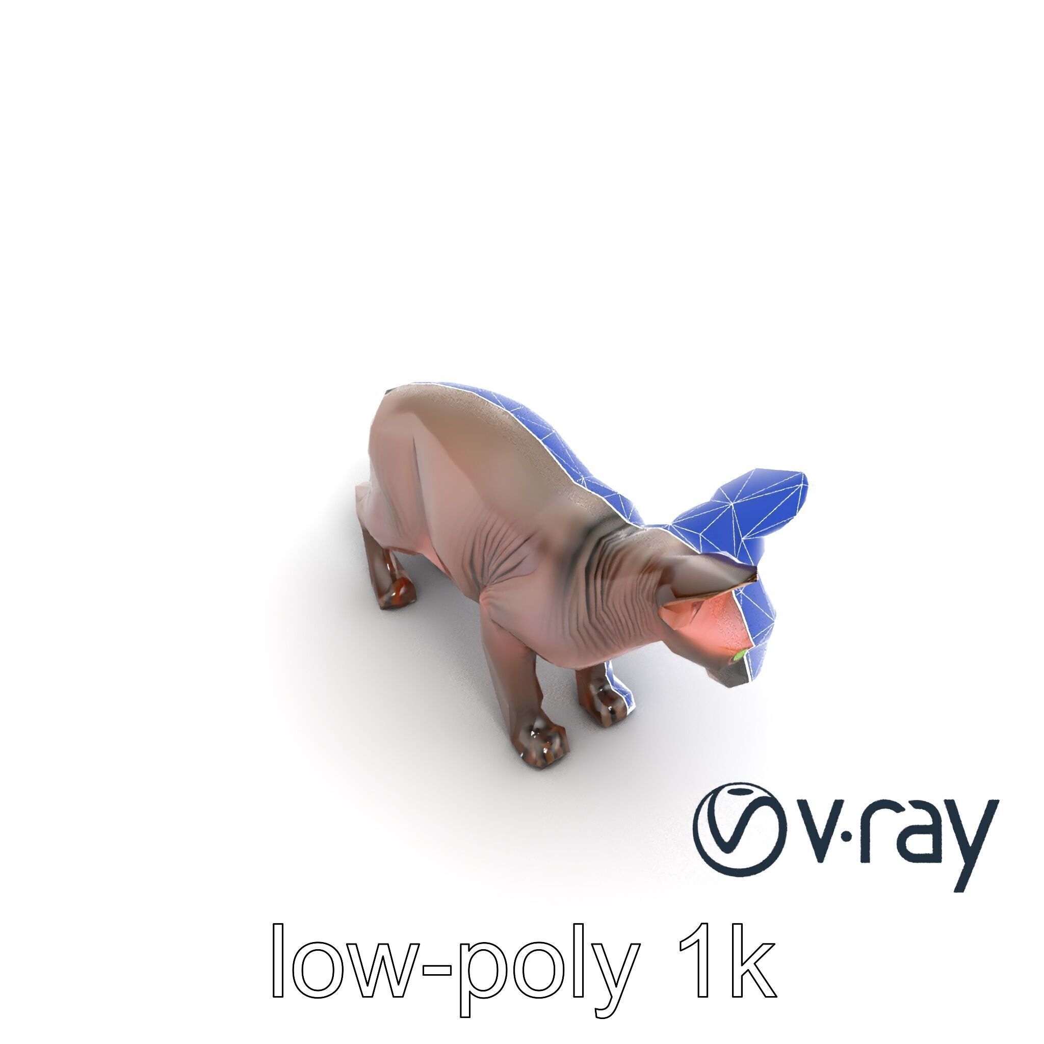 MidnightWhisker Sphynx Cat model pack Low-poly 3D model_51