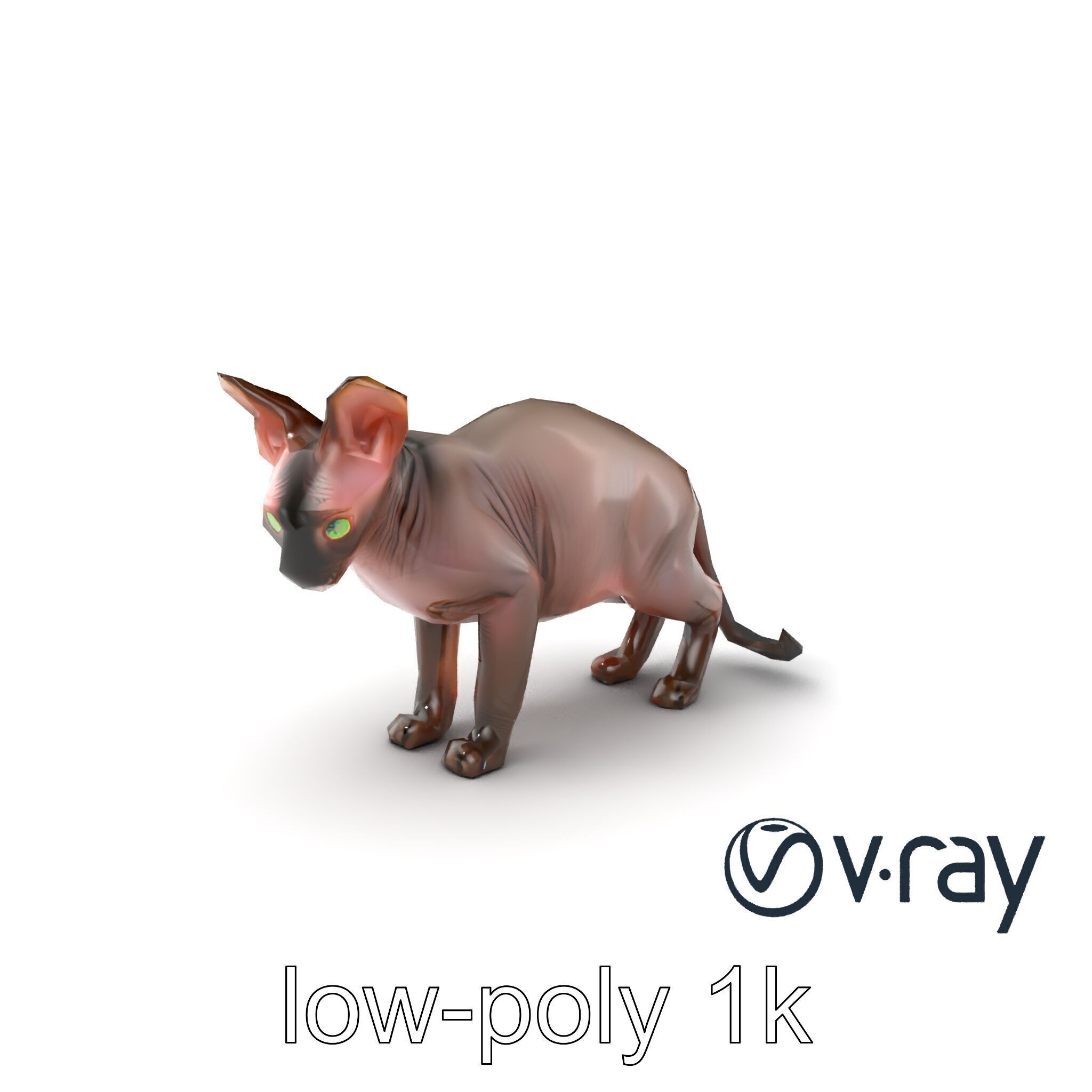 MidnightWhisker Sphynx Cat model pack Low-poly 3D model_36