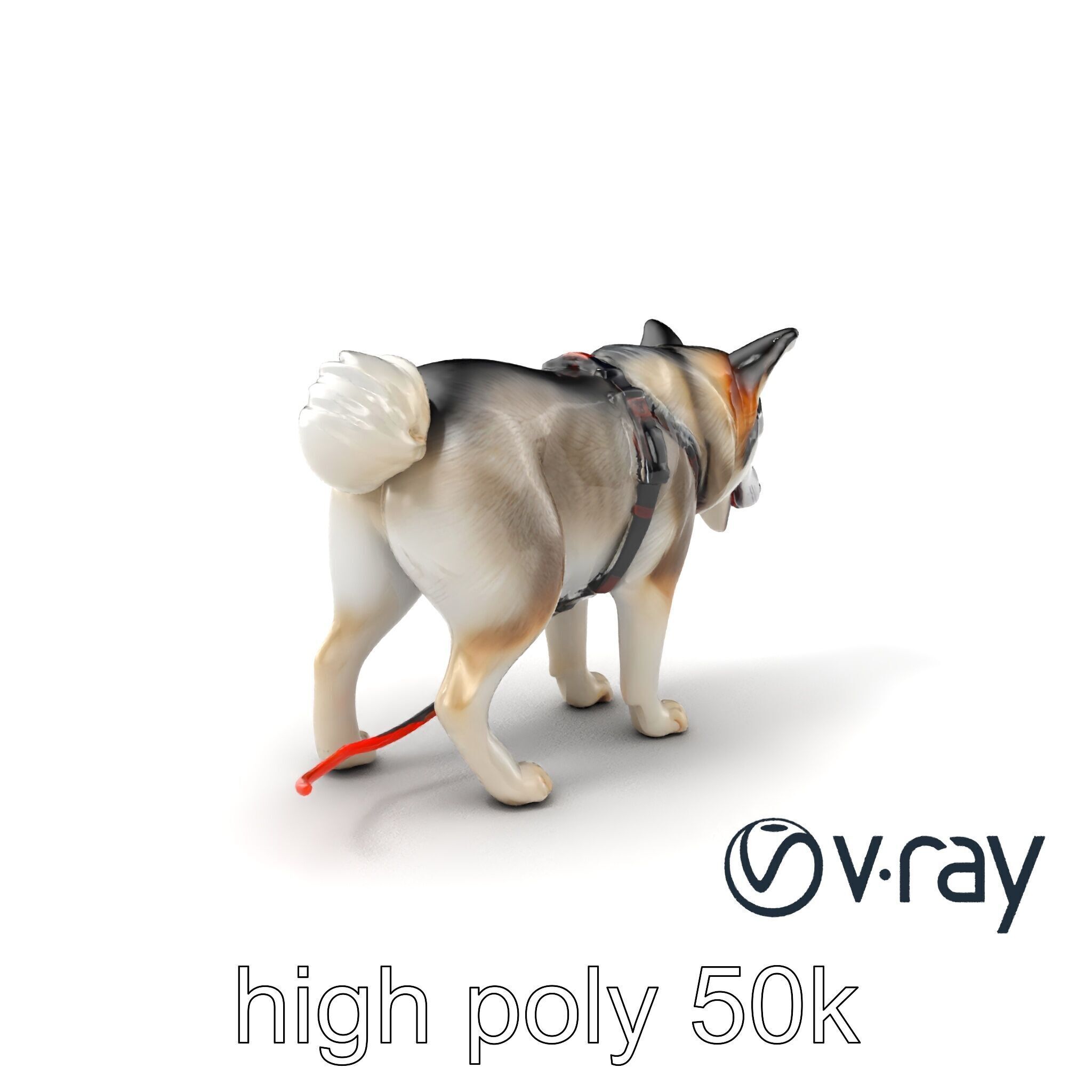 MidnightWhisker Sphynx Cat model pack Low-poly 3D model_8