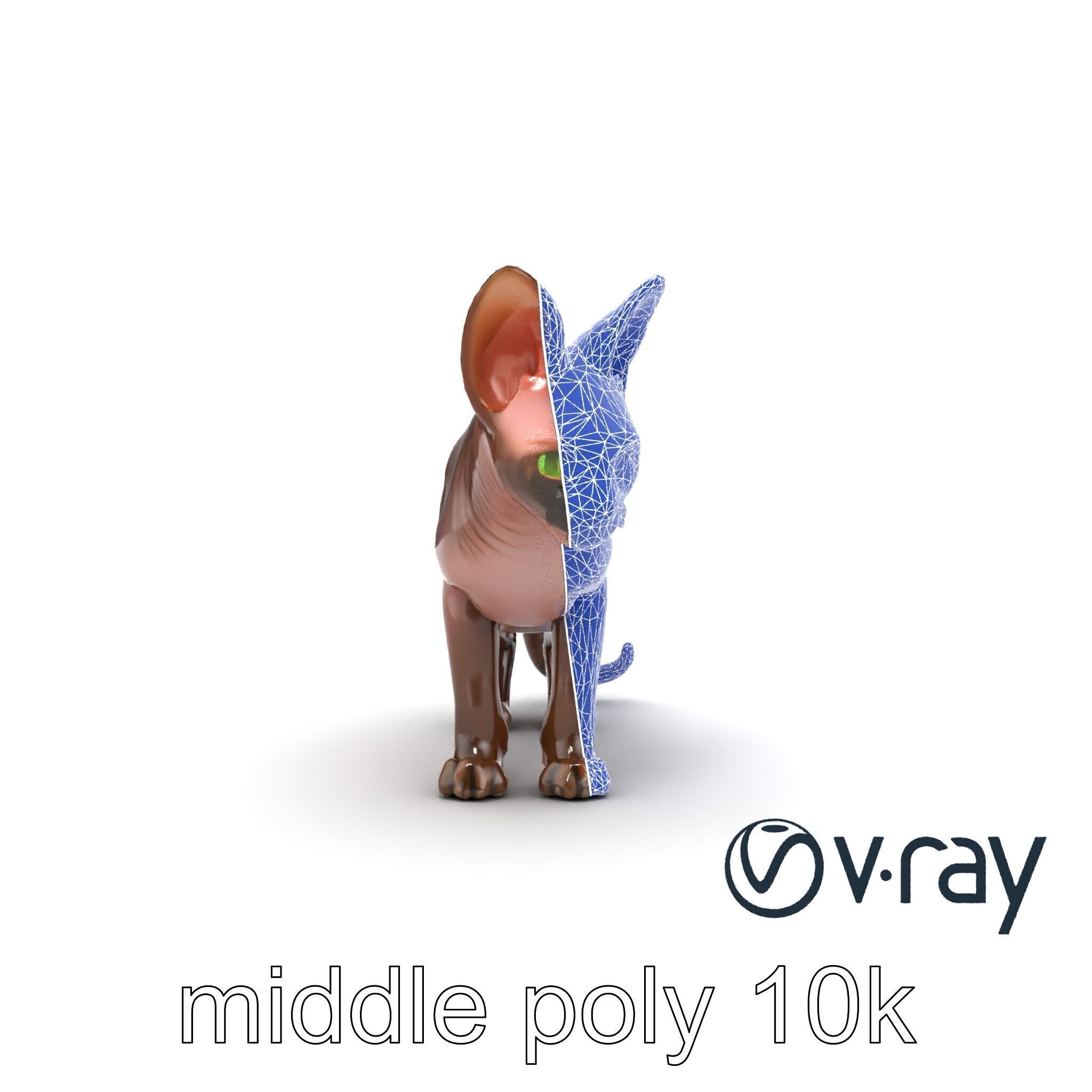 MidnightWhisker Sphynx Cat model pack Low-poly 3D model_55