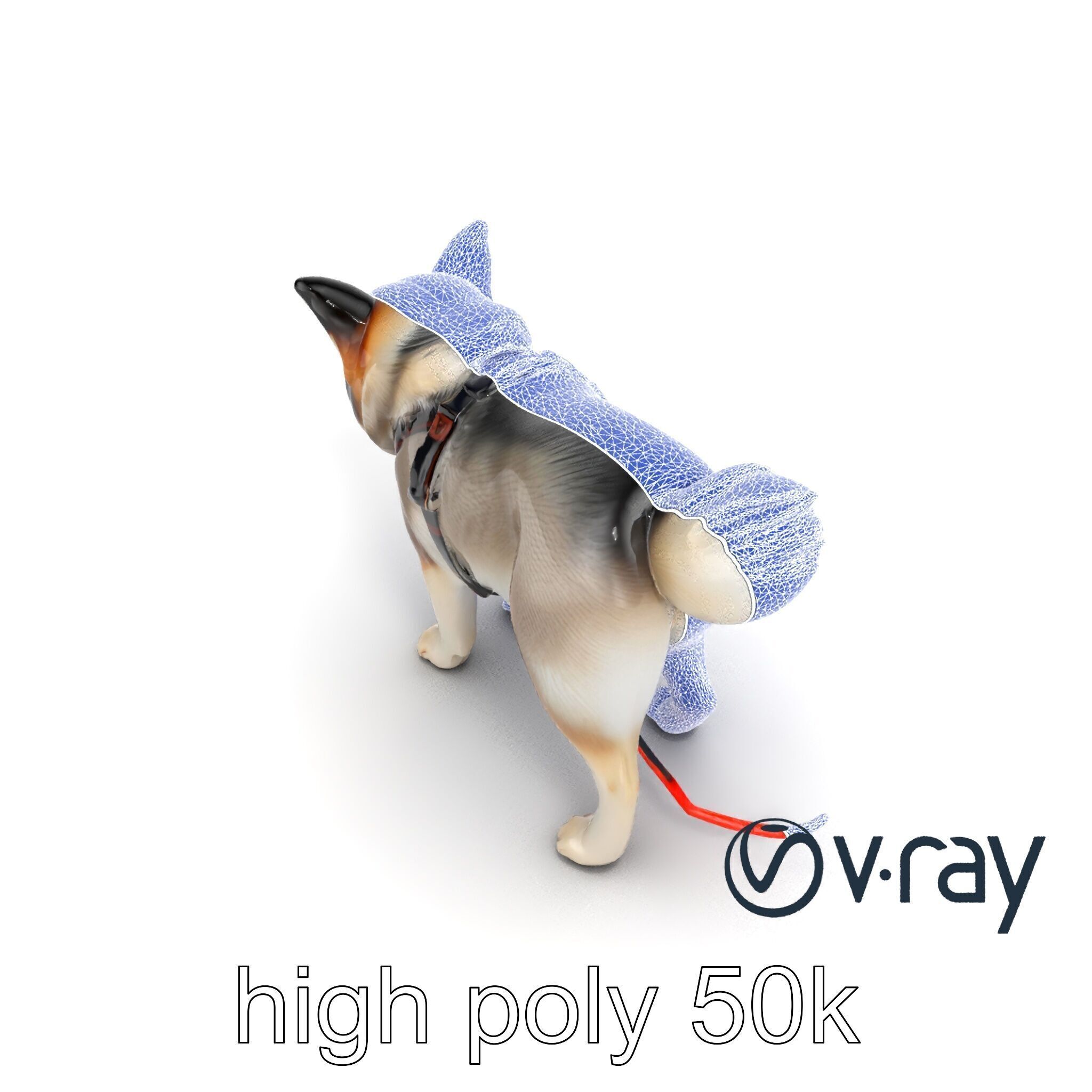 MidnightWhisker Sphynx Cat model pack Low-poly 3D model_31