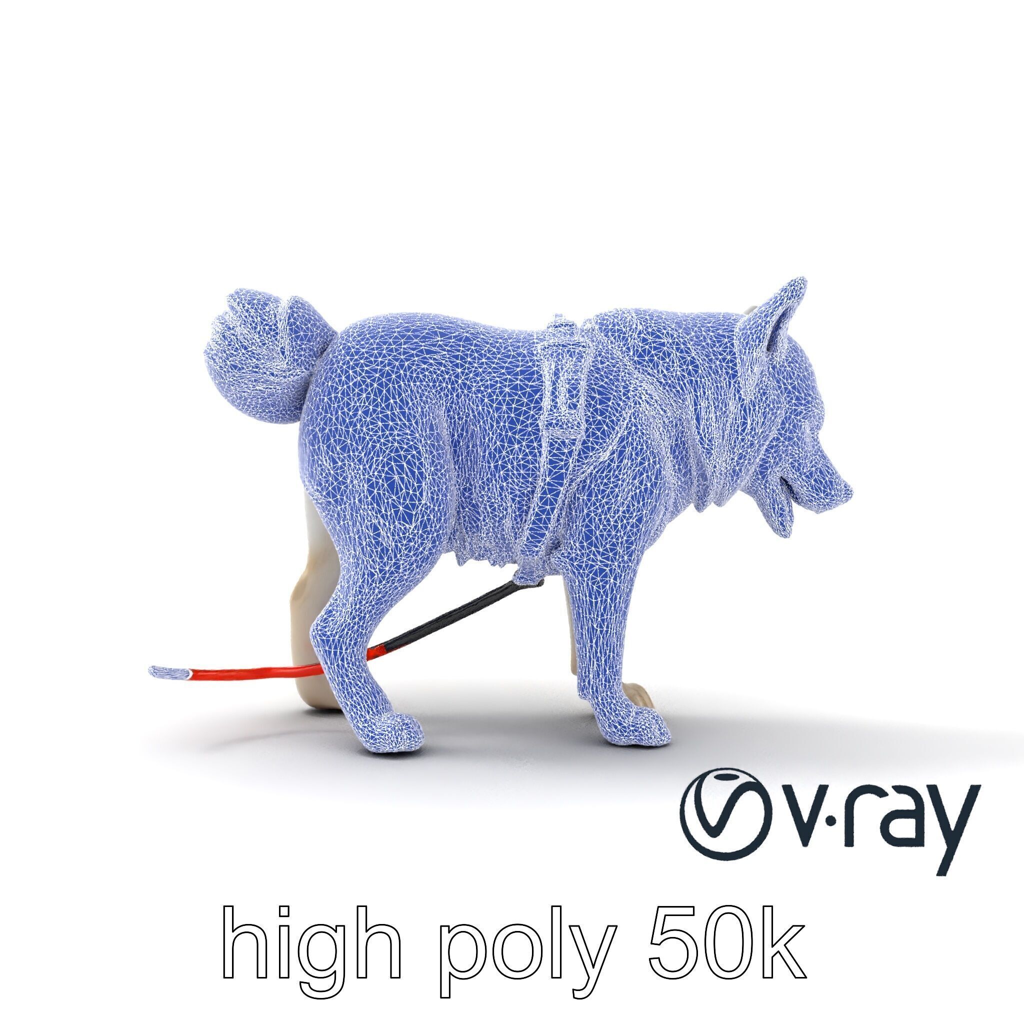 MidnightWhisker Sphynx Cat model pack Low-poly 3D model_32