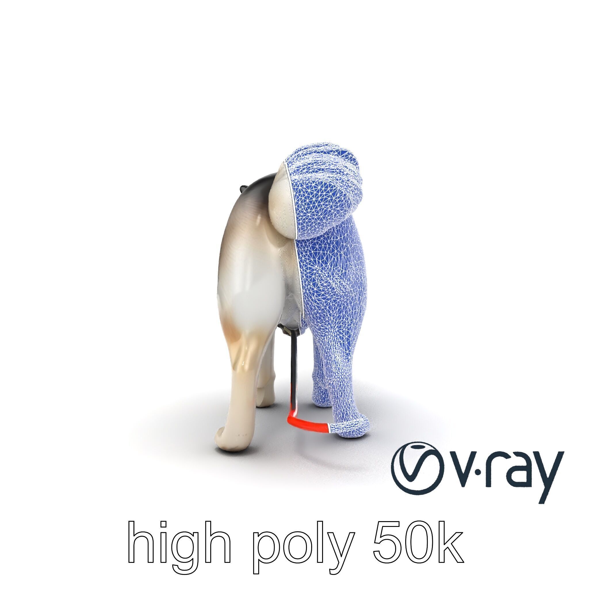 MidnightWhisker Sphynx Cat model pack Low-poly 3D model_33