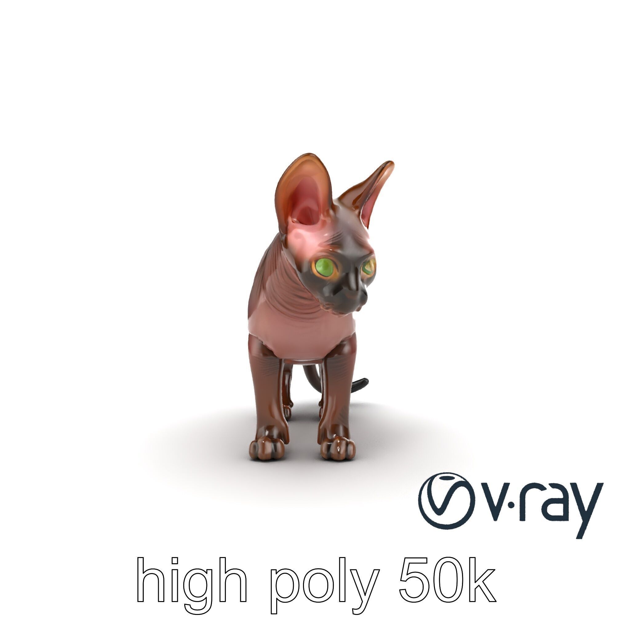 MidnightWhisker Sphynx Cat model pack Low-poly 3D model_62