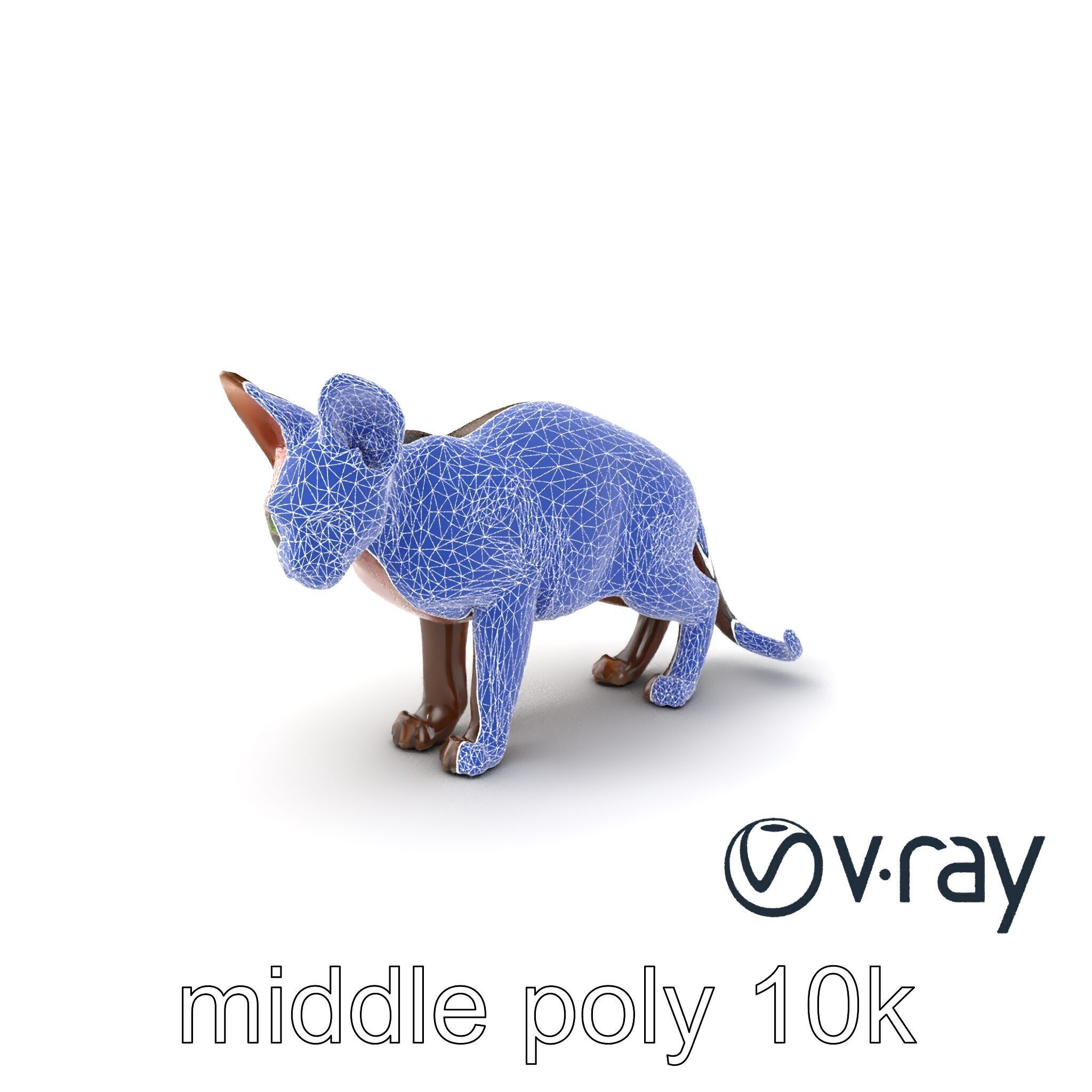 MidnightWhisker Sphynx Cat model pack Low-poly 3D model_52