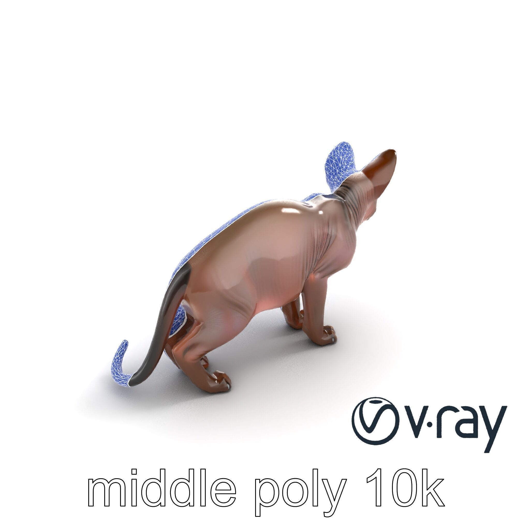 MidnightWhisker Sphynx Cat model pack Low-poly 3D model_59