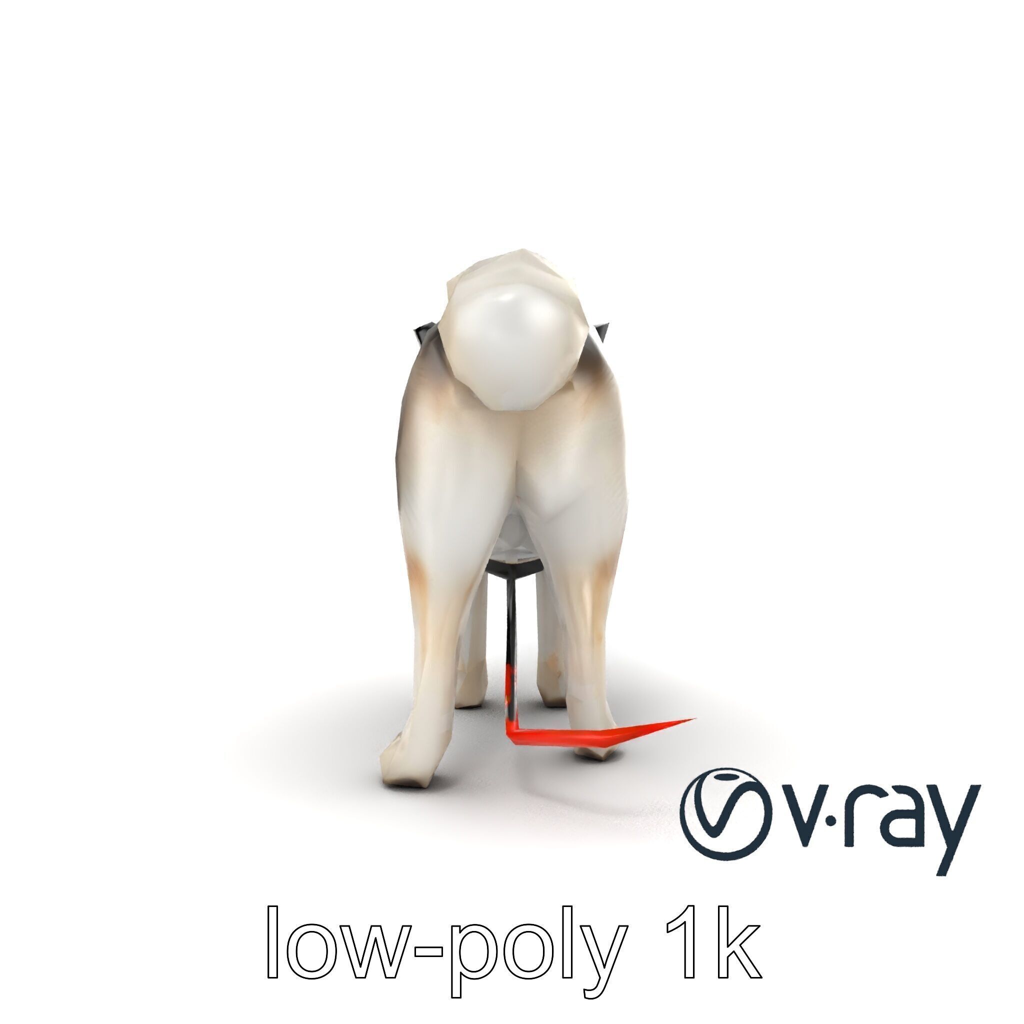 MidnightWhisker Sphynx Cat model pack Low-poly 3D model_22