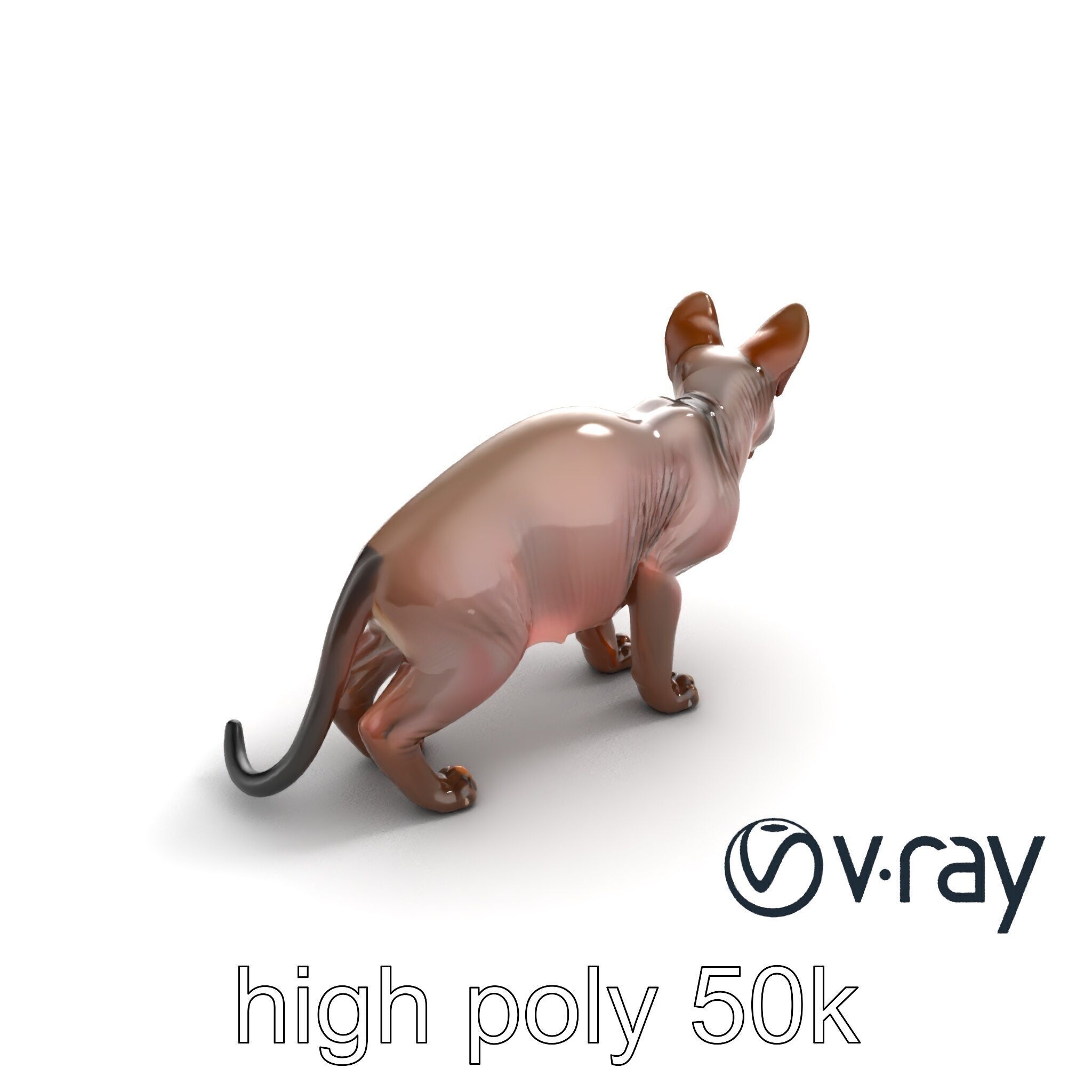 MidnightWhisker Sphynx Cat model pack Low-poly 3D model_43
