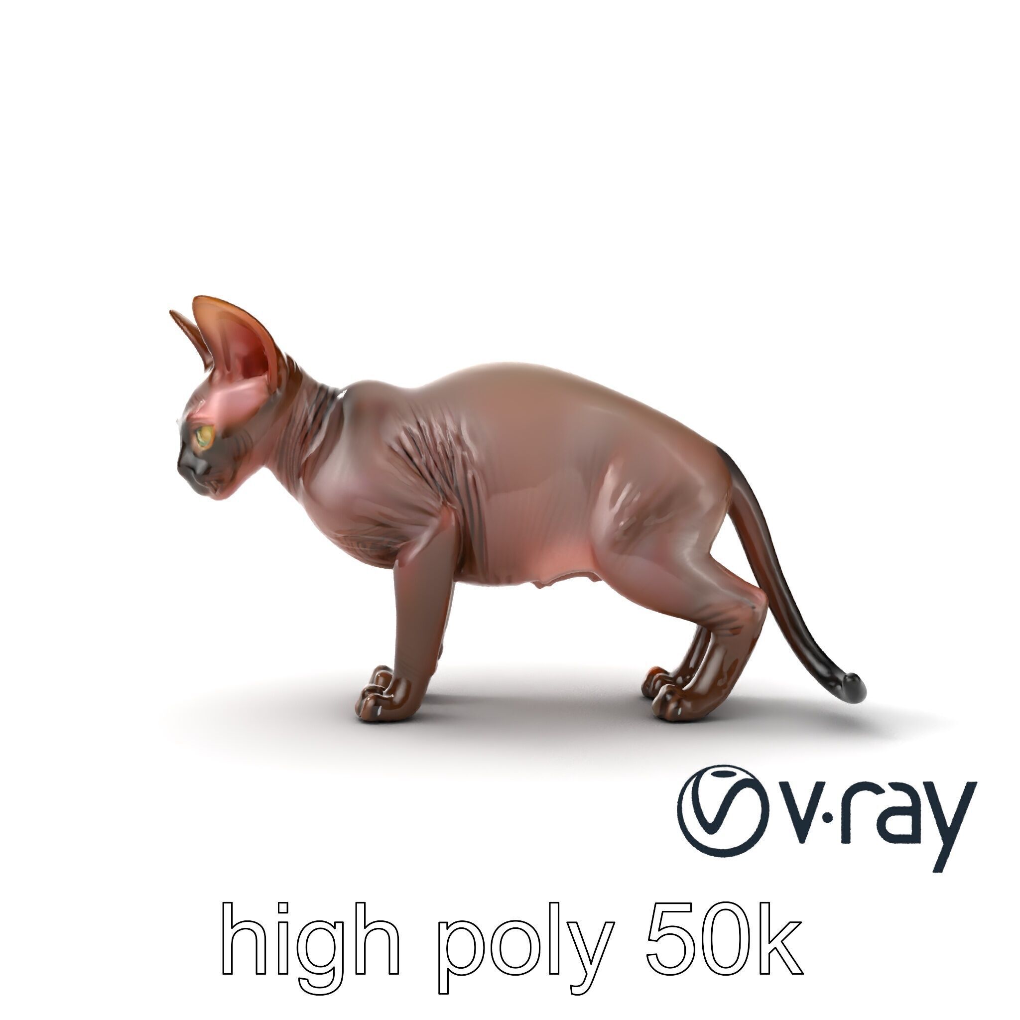 MidnightWhisker Sphynx Cat model pack Low-poly 3D model_48