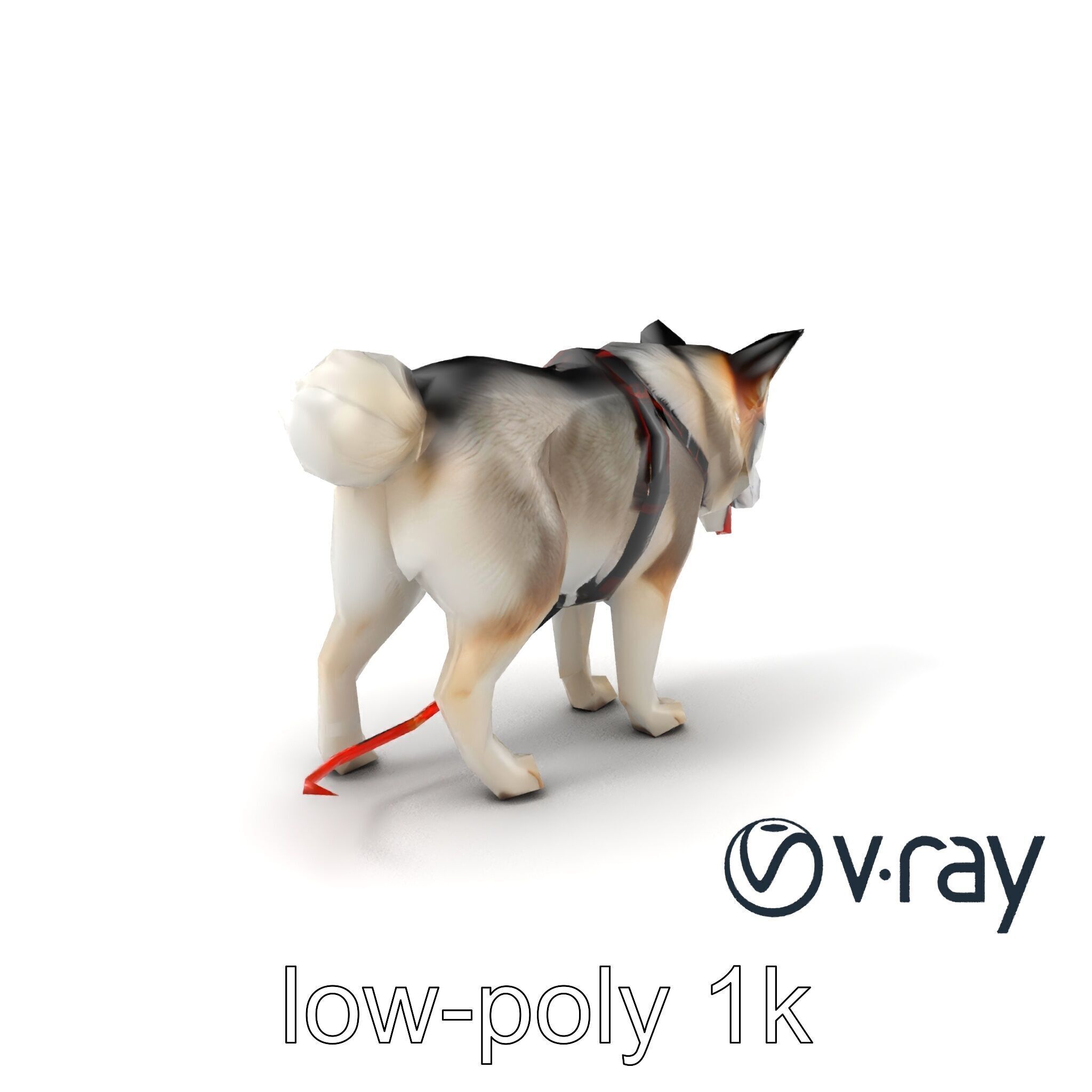 MidnightWhisker Sphynx Cat model pack Low-poly 3D model_4