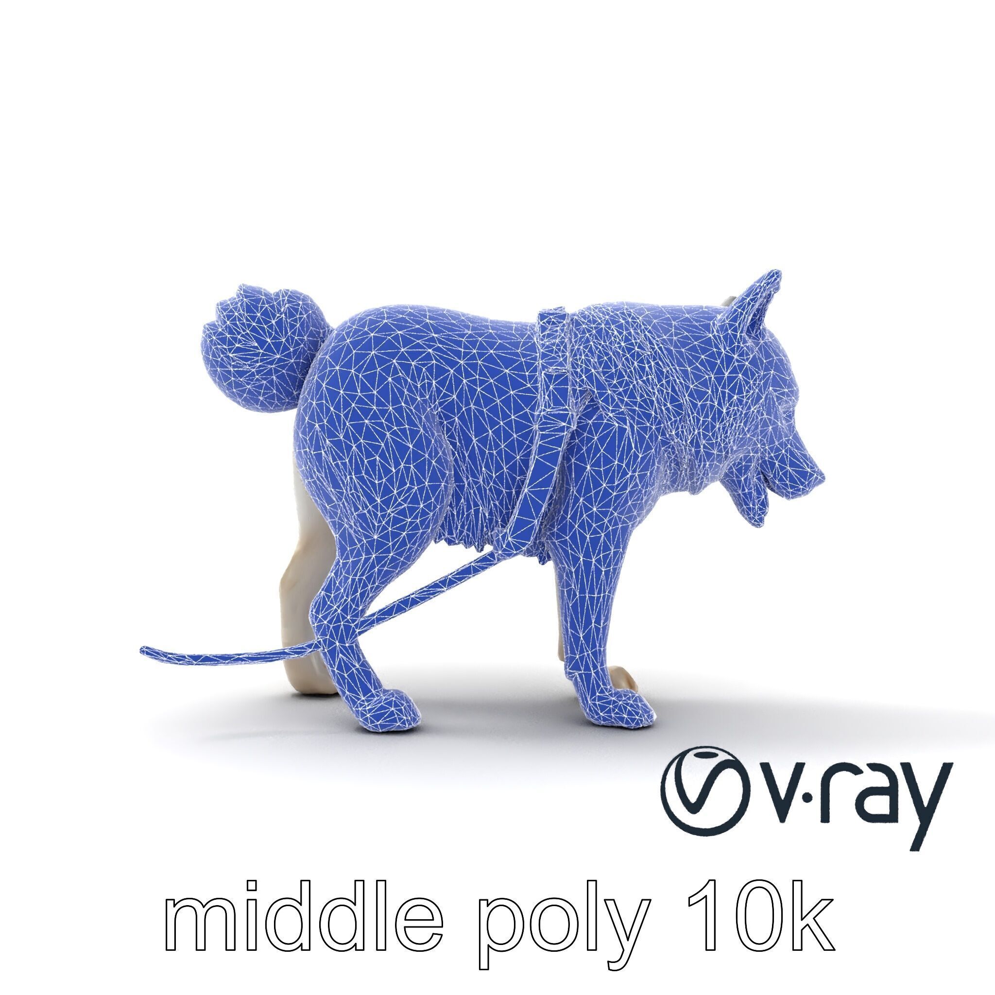 MidnightWhisker Sphynx Cat model pack Low-poly 3D model_27