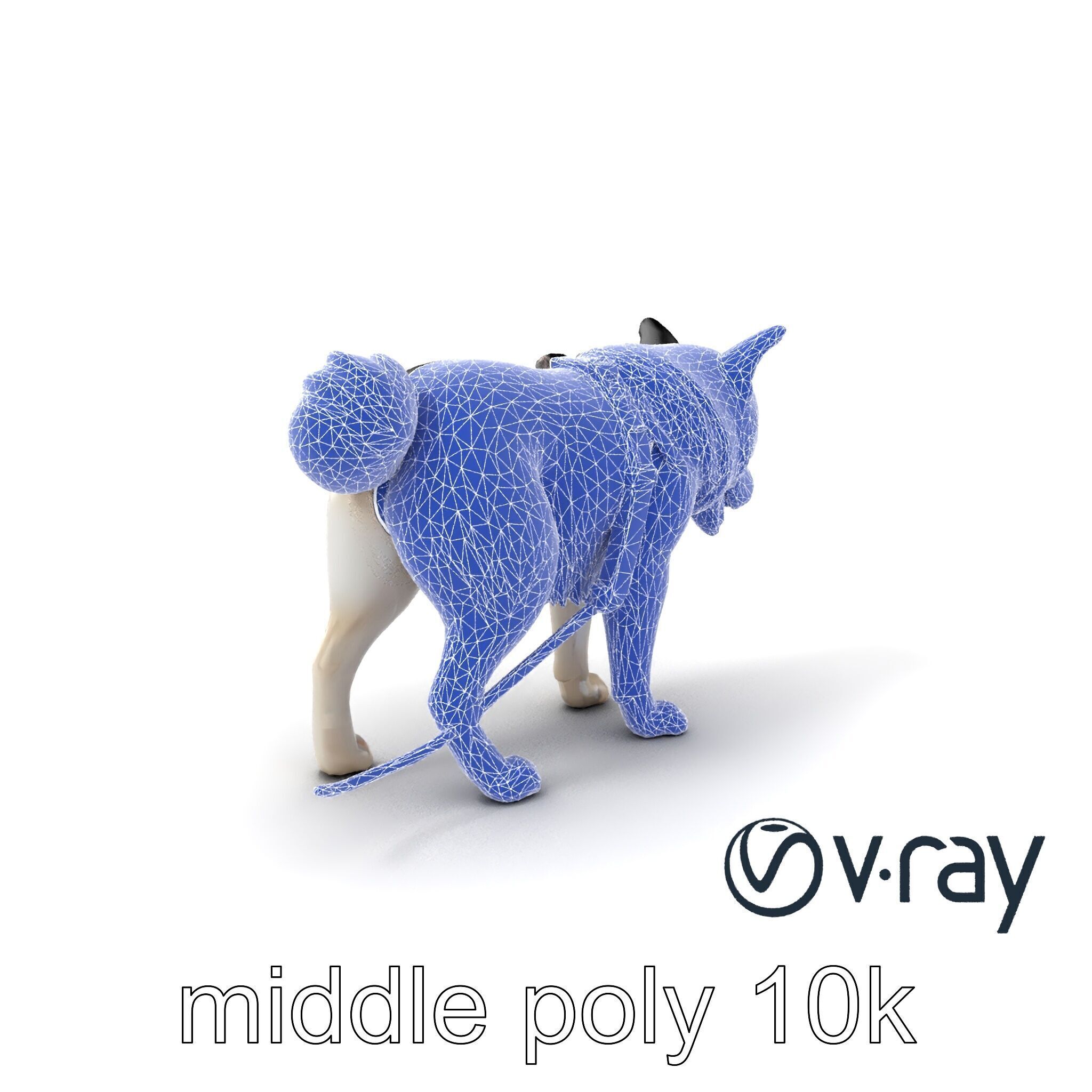 MidnightWhisker Sphynx Cat model pack Low-poly 3D model_6