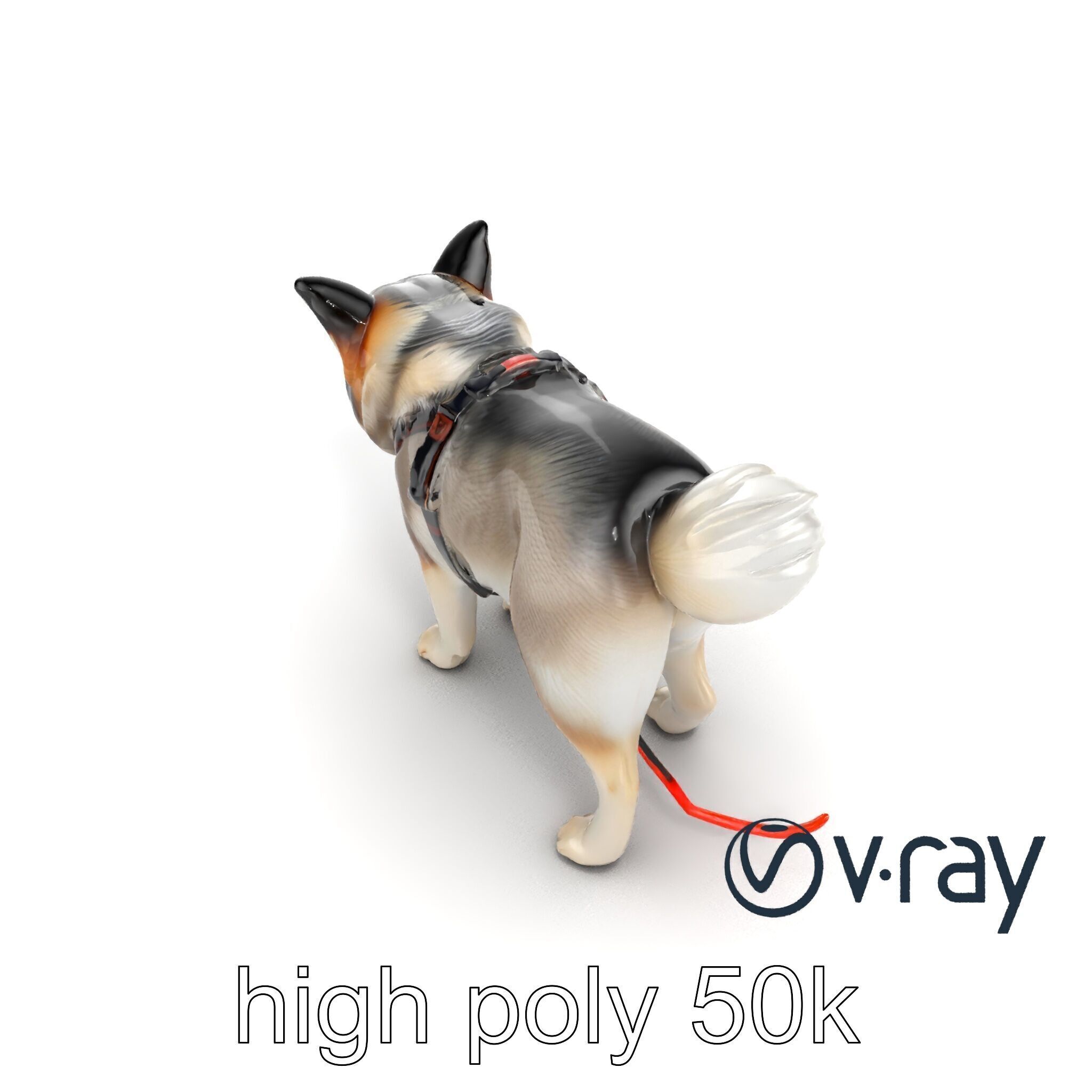 MidnightWhisker Sphynx Cat model pack Low-poly 3D model_30