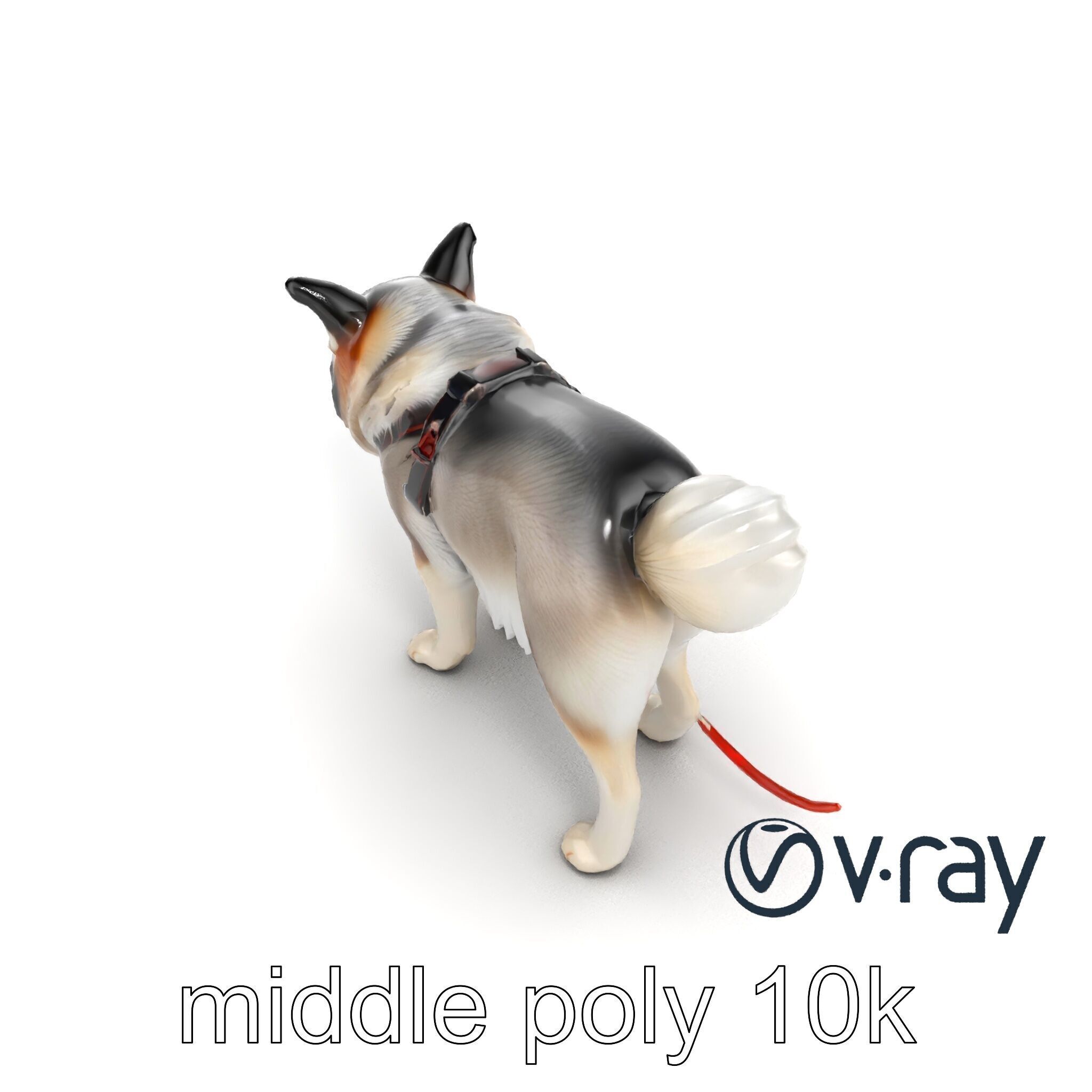 MidnightWhisker Sphynx Cat model pack Low-poly 3D model_15