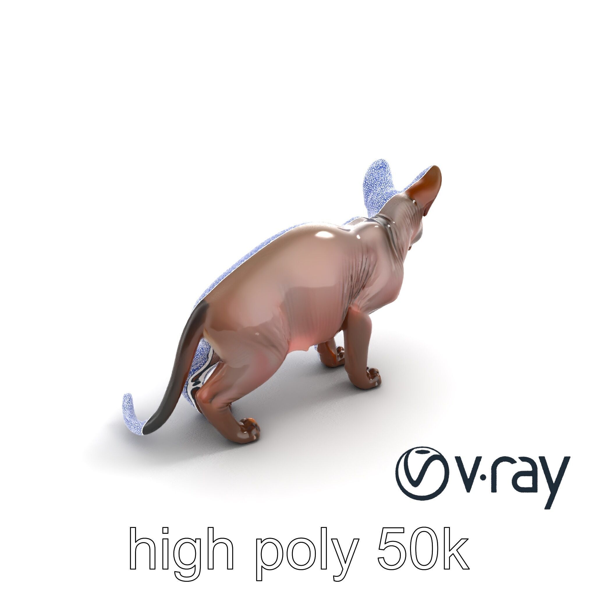 MidnightWhisker Sphynx Cat model pack Low-poly 3D model_50