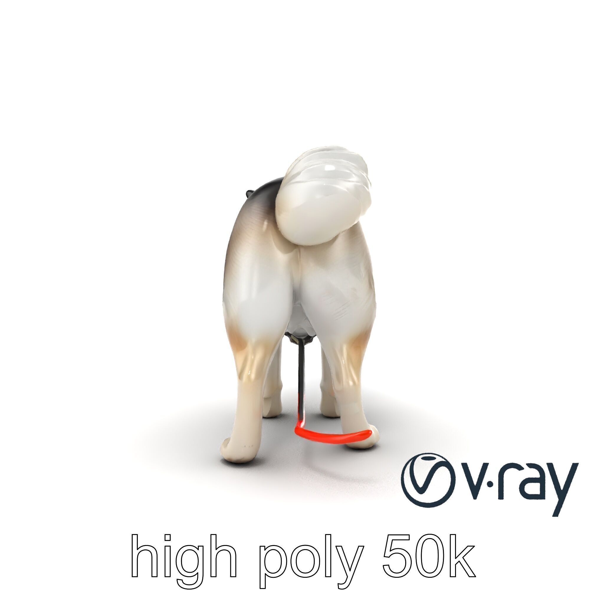 MidnightWhisker Sphynx Cat model pack Low-poly 3D model_13