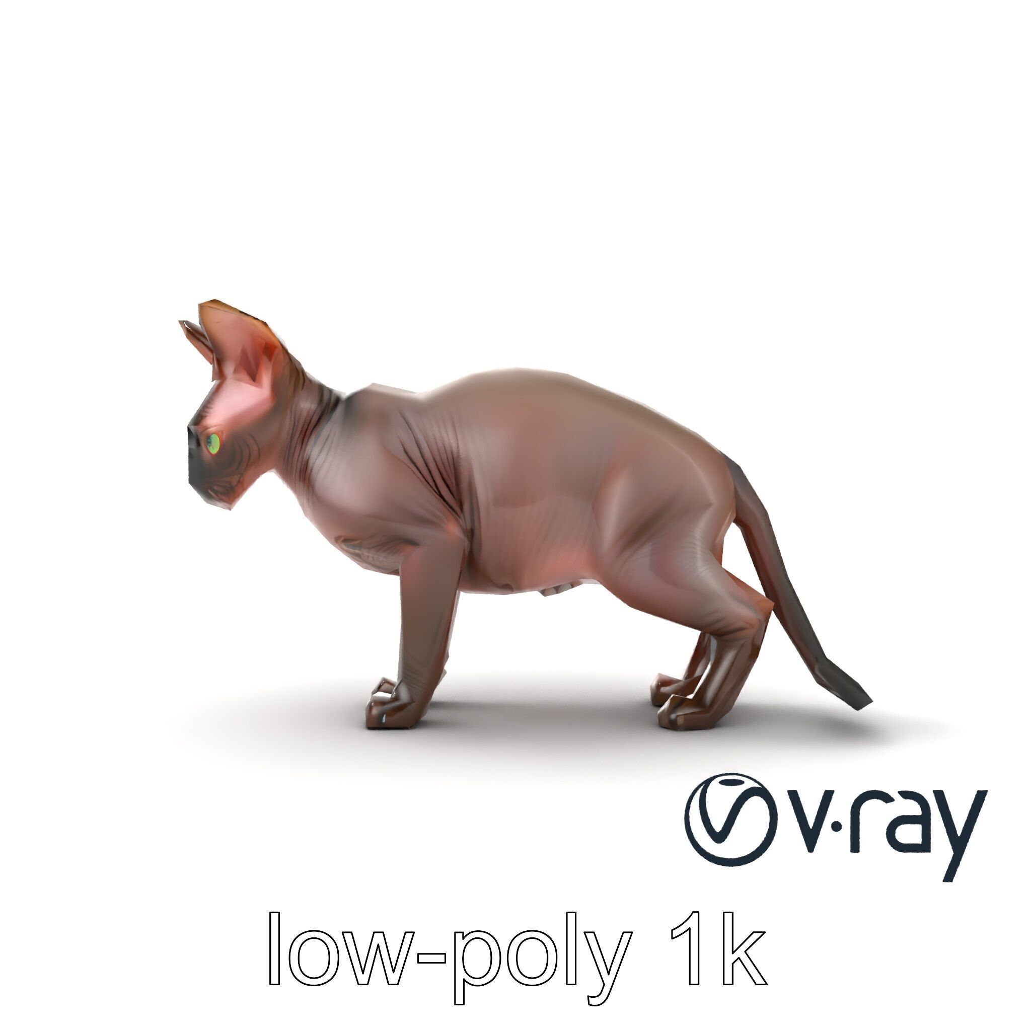 MidnightWhisker Sphynx Cat model pack Low-poly 3D model_61