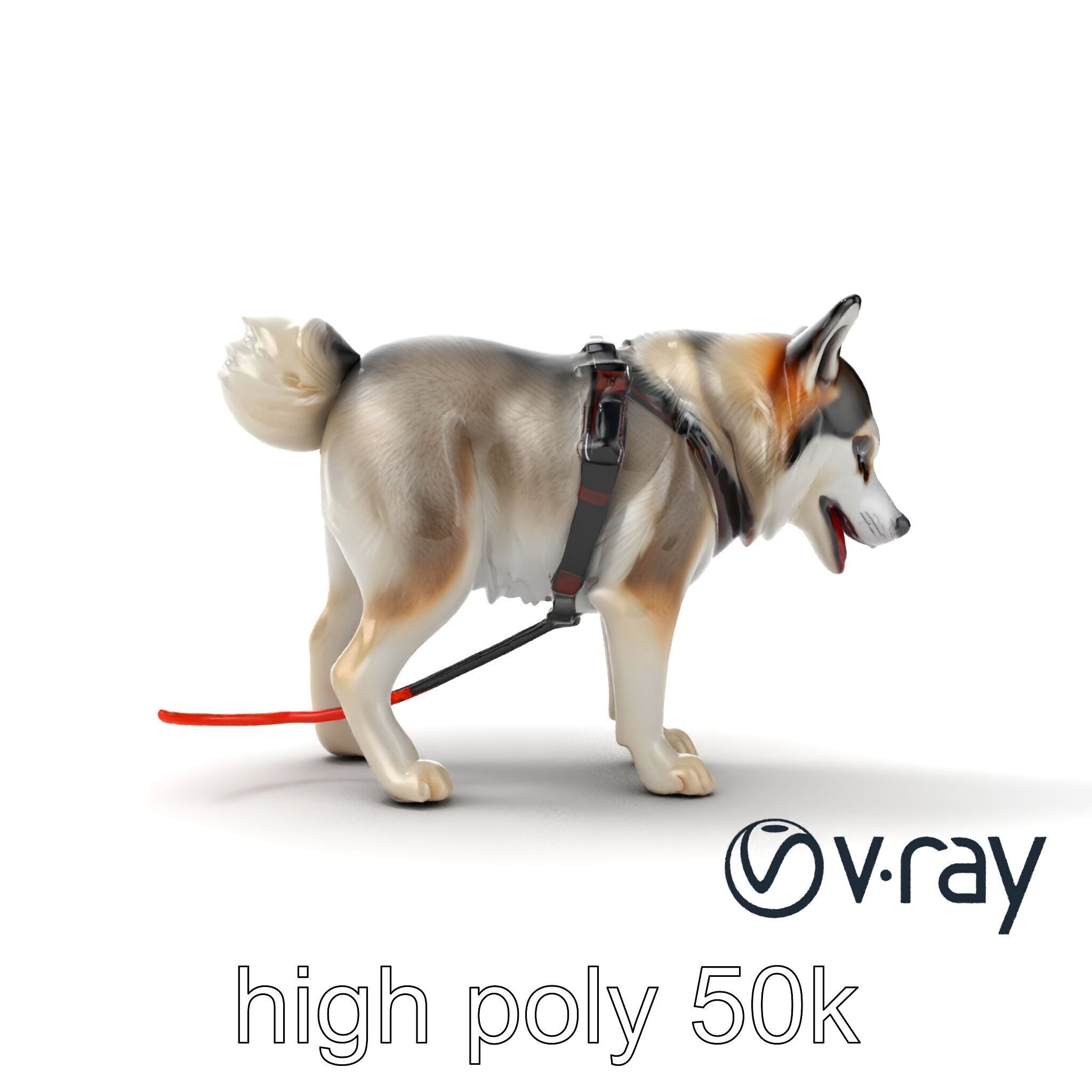 MidnightWhisker Sphynx Cat model pack Low-poly 3D model_24