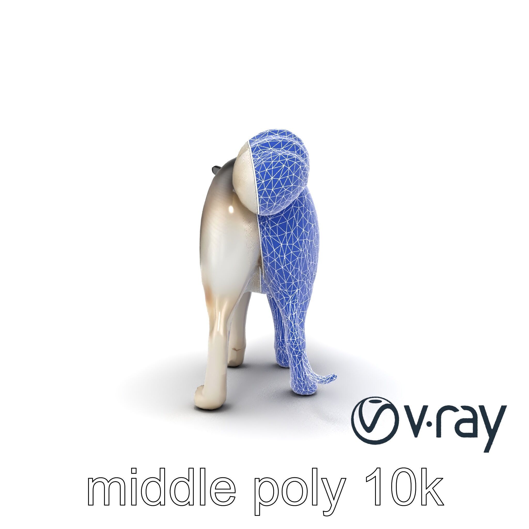 MidnightWhisker Sphynx Cat model pack Low-poly 3D model_29