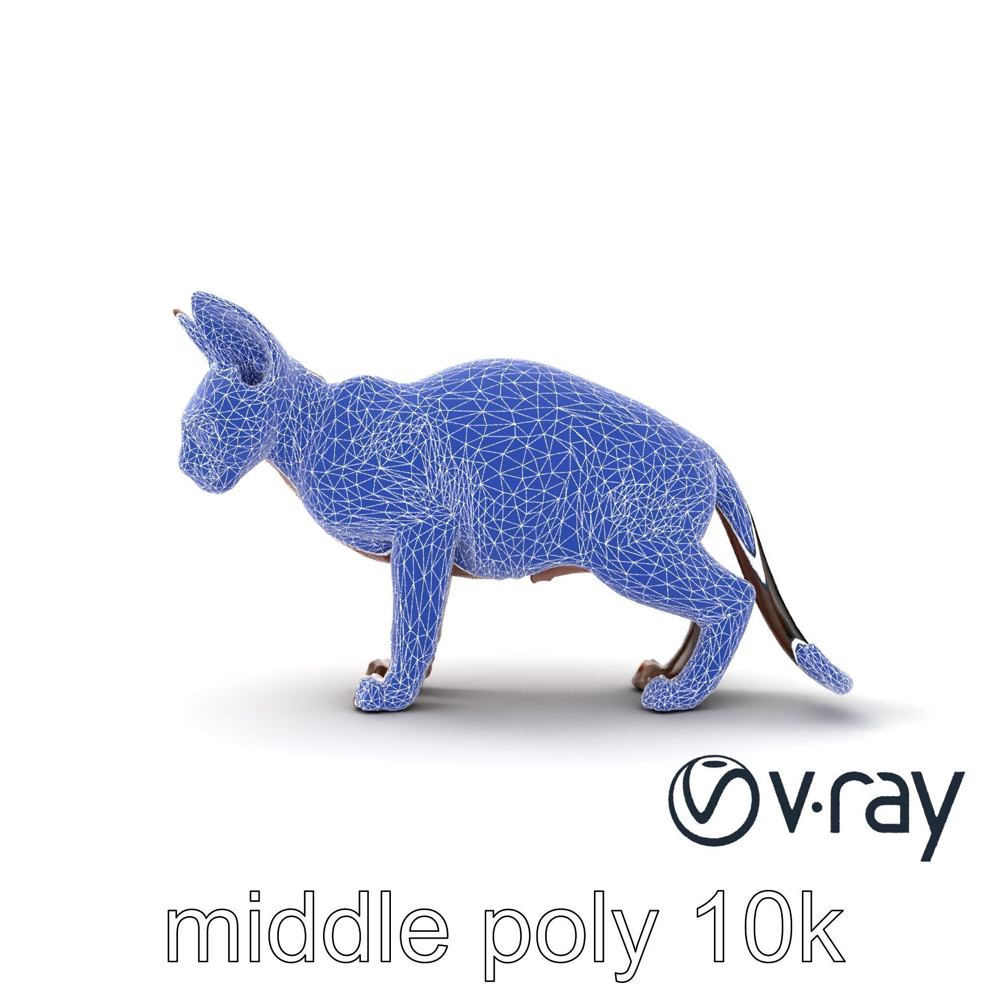 MidnightWhisker Sphynx Cat model pack Low-poly 3D model_64