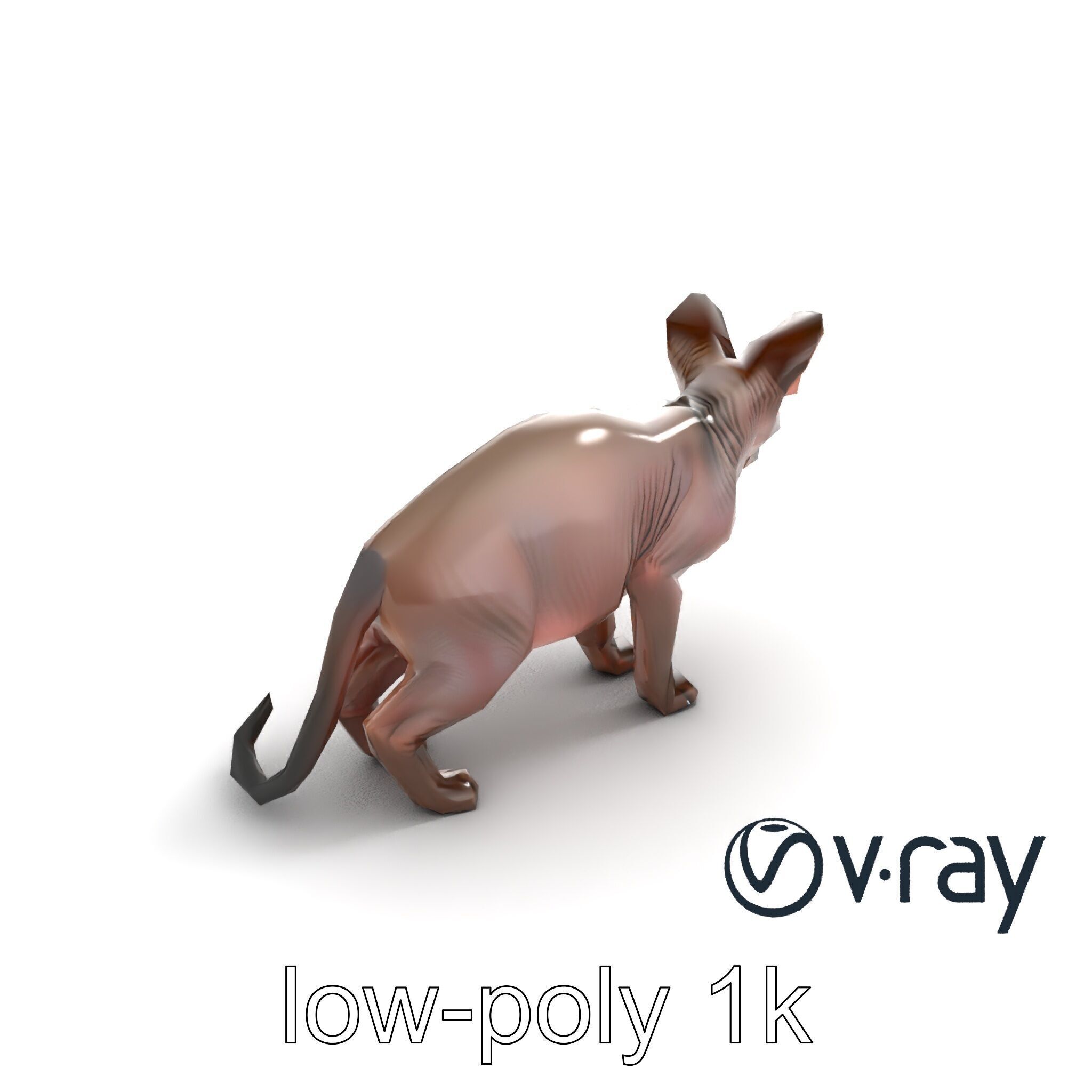 MidnightWhisker Sphynx Cat model pack Low-poly 3D model_42