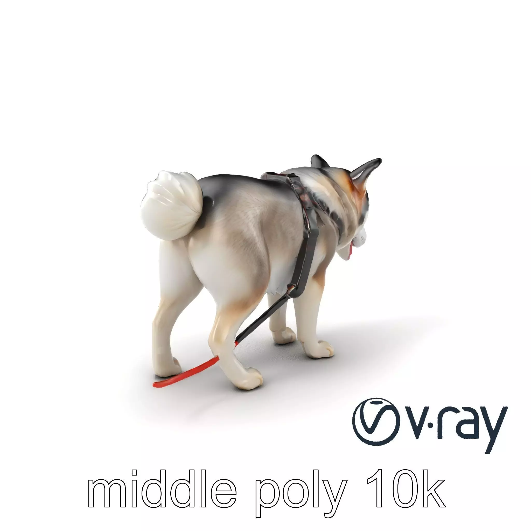 MidnightWhisker Sphynx Cat model pack Low-poly 3D model_0