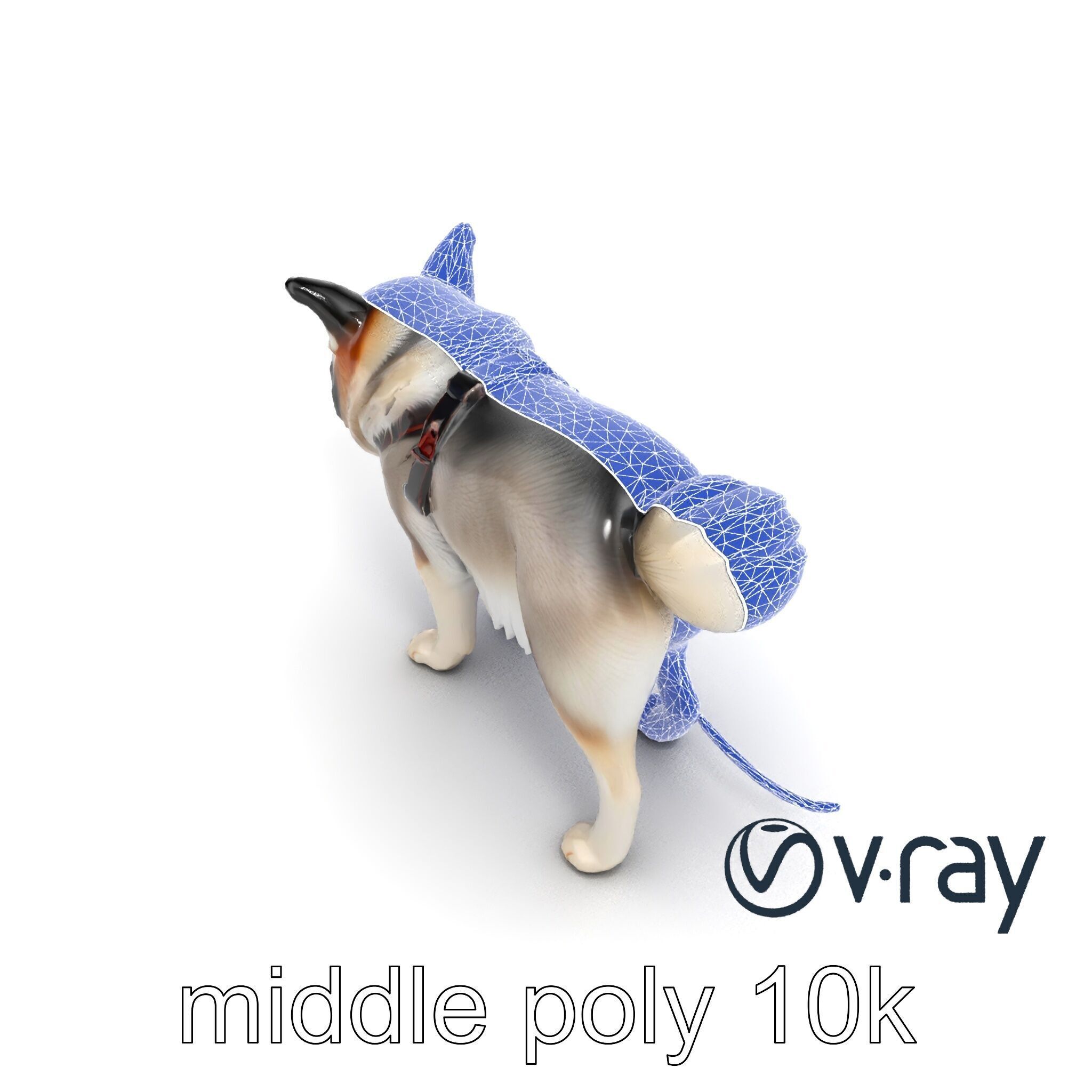 MidnightWhisker Sphynx Cat model pack Low-poly 3D model_16