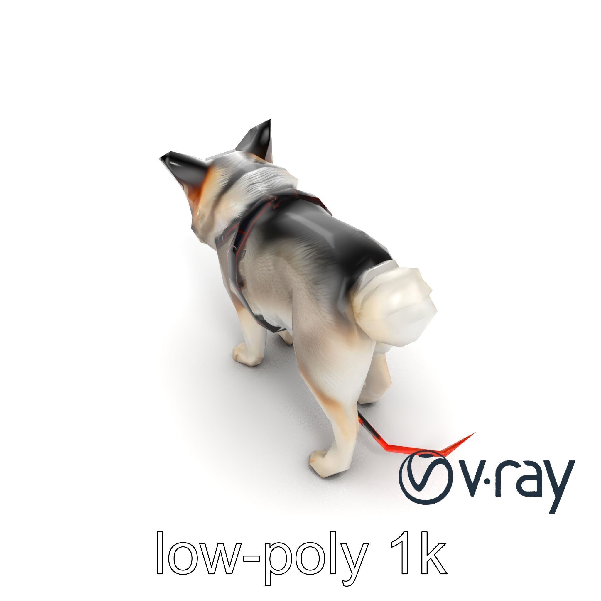 MidnightWhisker Sphynx Cat model pack Low-poly 3D model_21