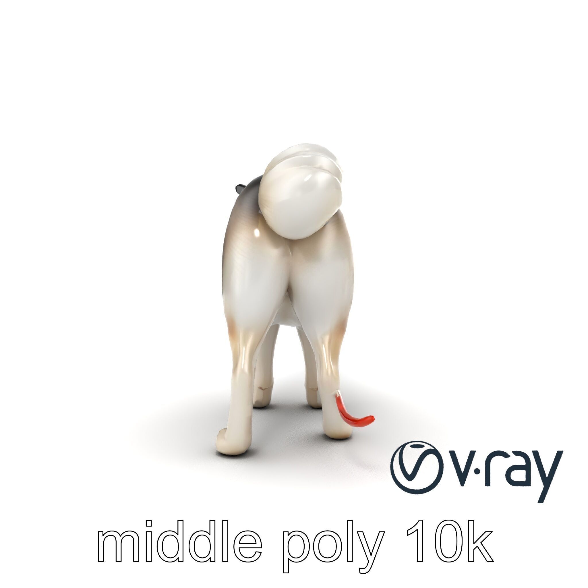 MidnightWhisker Sphynx Cat model pack Low-poly 3D model_18