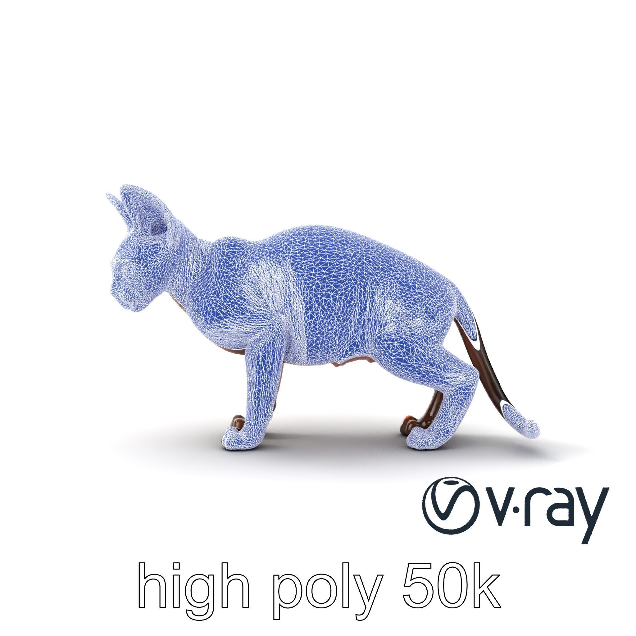 MidnightWhisker Sphynx Cat model pack Low-poly 3D model_65