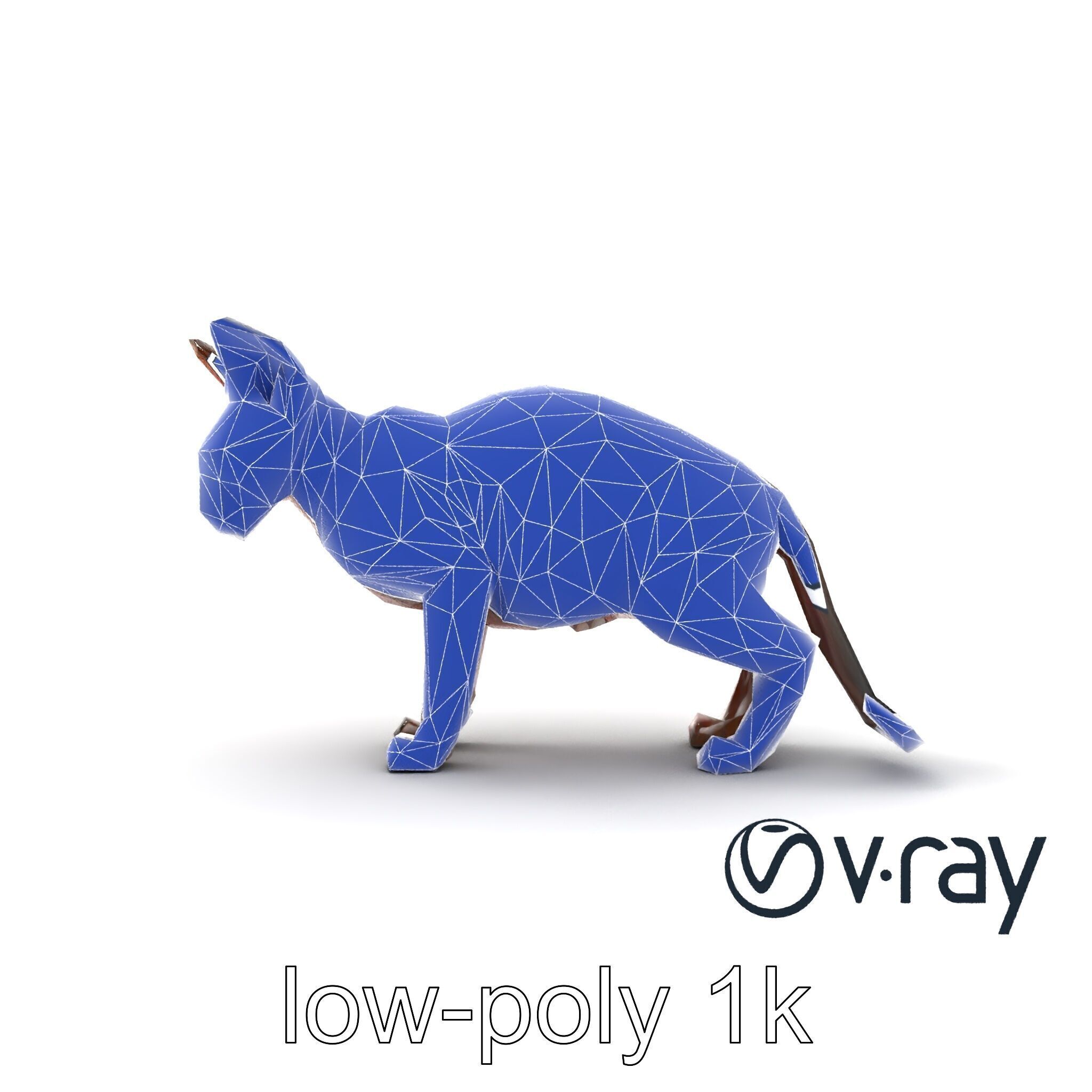 MidnightWhisker Sphynx Cat model pack Low-poly 3D model_57