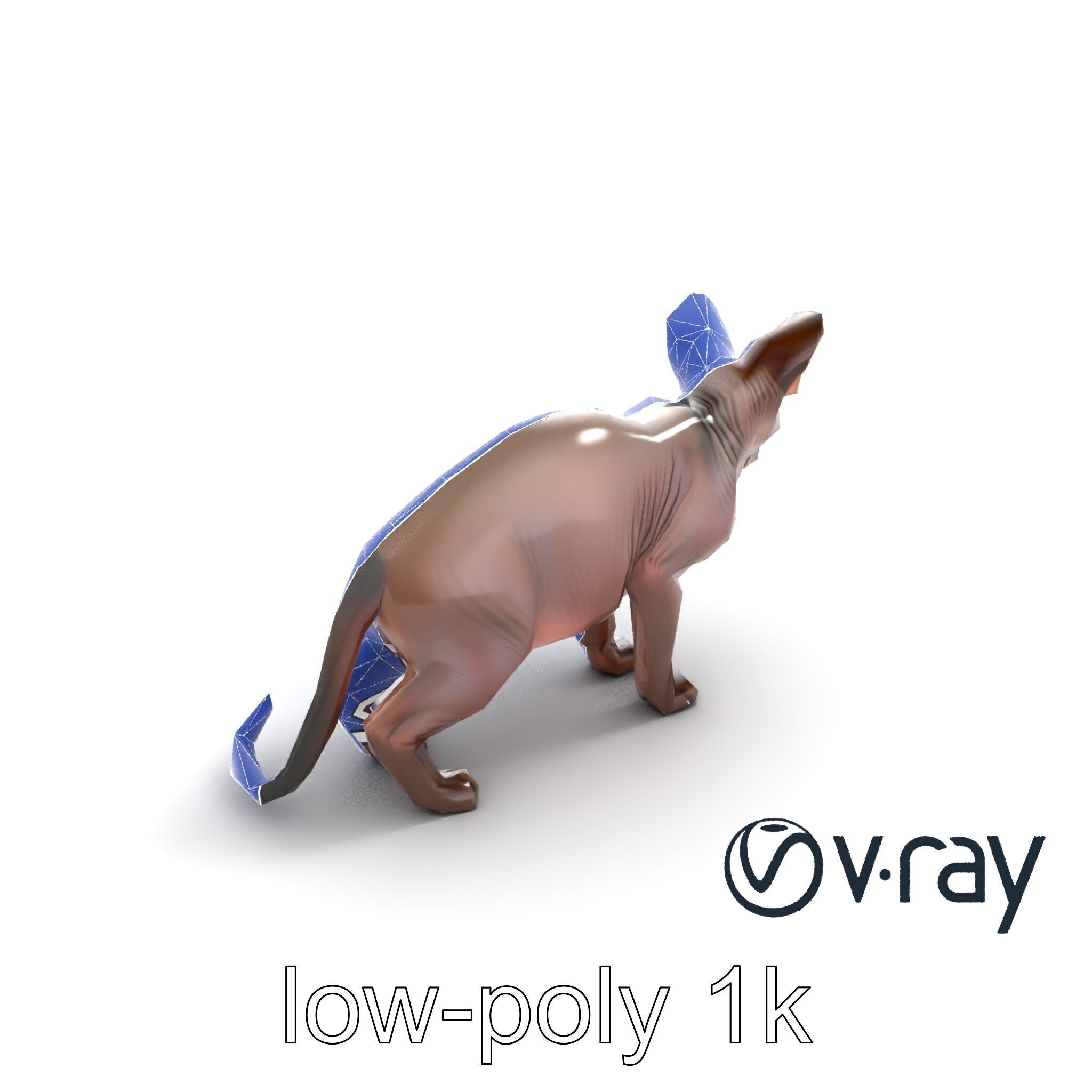 MidnightWhisker Sphynx Cat model pack Low-poly 3D model_47