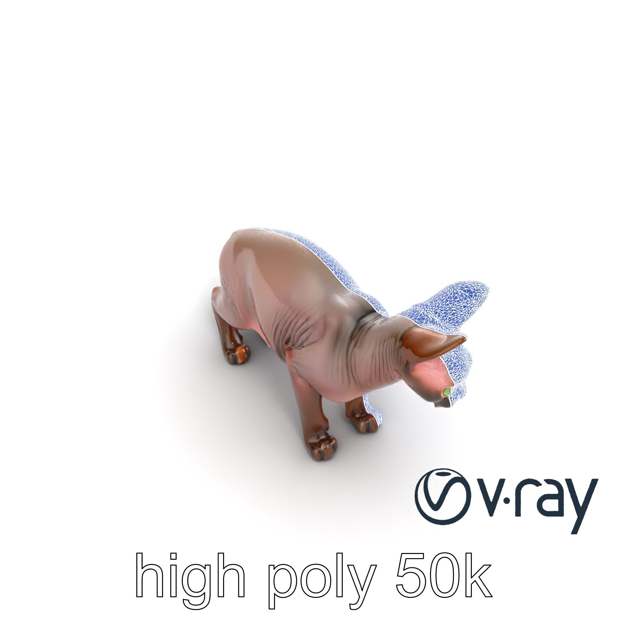 MidnightWhisker Sphynx Cat model pack Low-poly 3D model_56