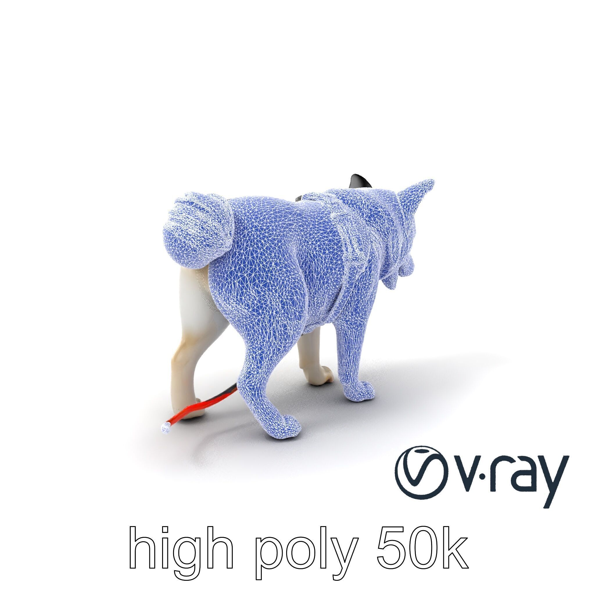 MidnightWhisker Sphynx Cat model pack Low-poly 3D model_11