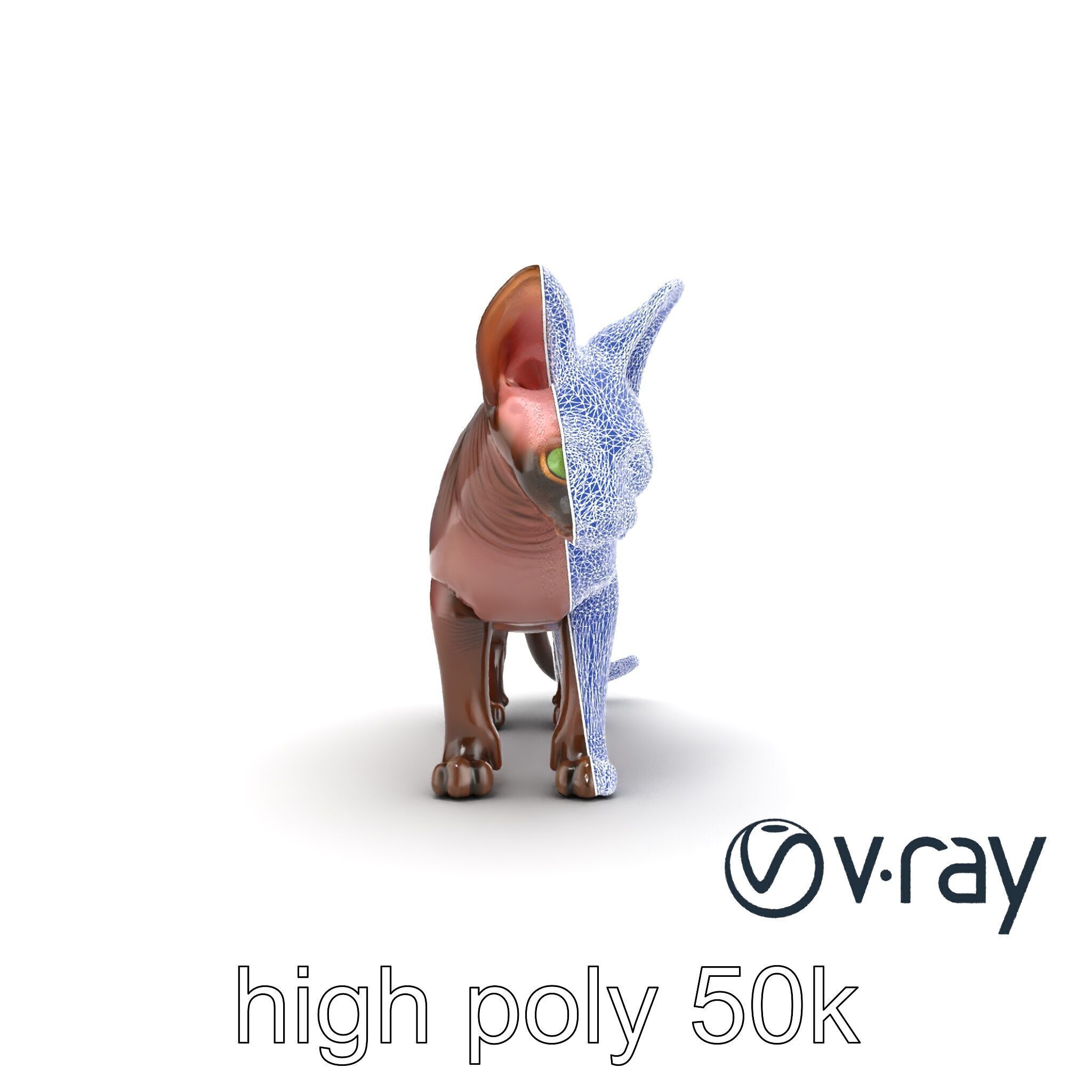 MidnightWhisker Sphynx Cat model pack Low-poly 3D model_53