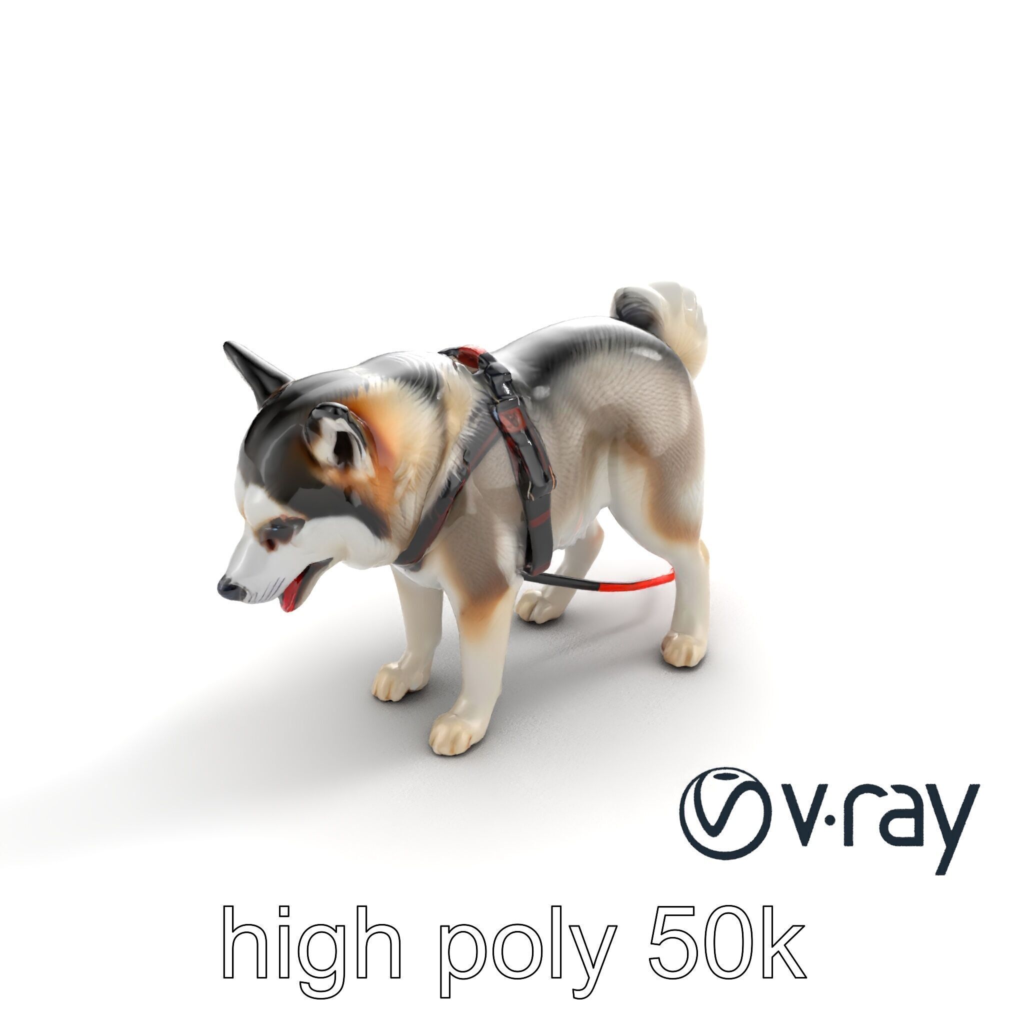 MidnightWhisker Sphynx Cat model pack Low-poly 3D model_28