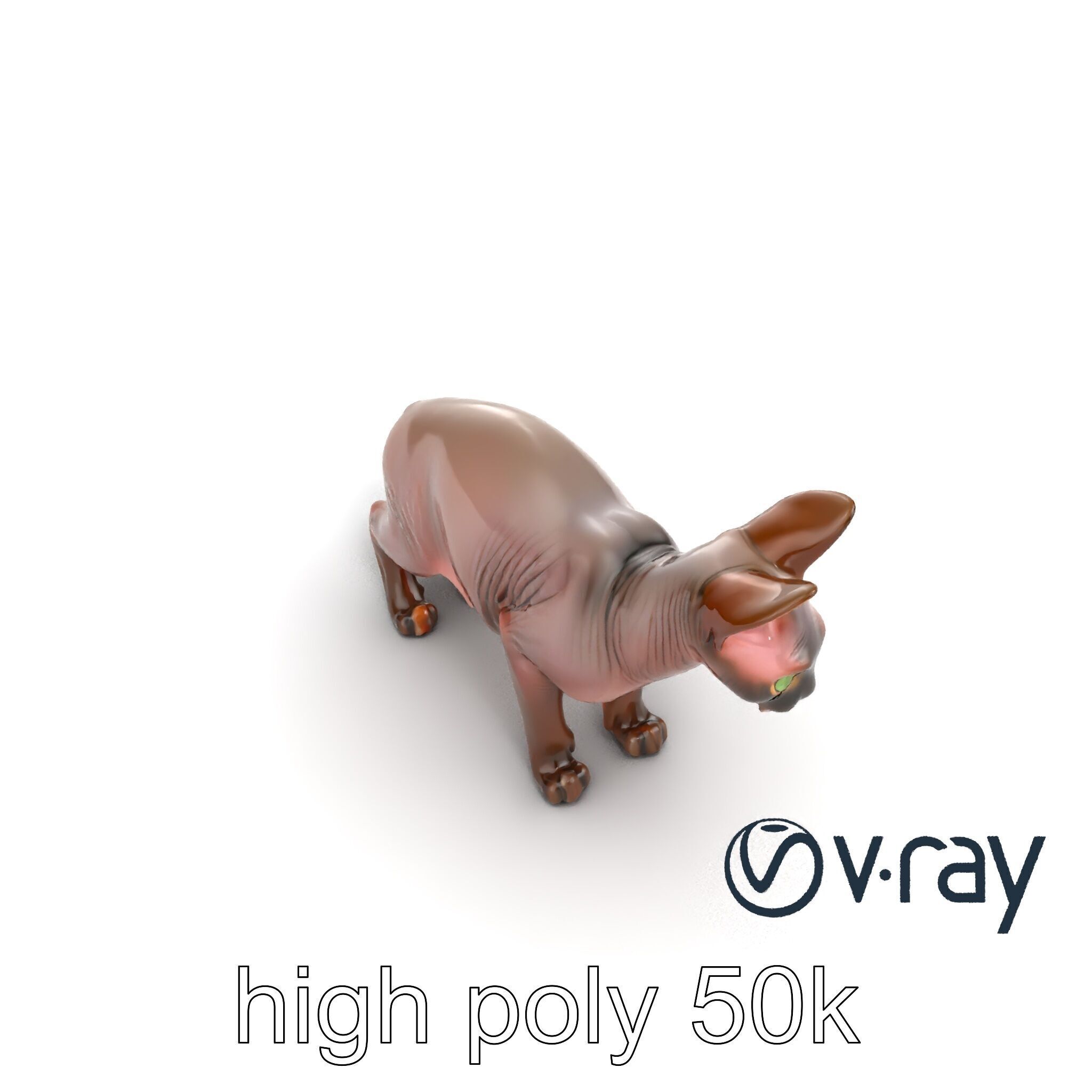 MidnightWhisker Sphynx Cat model pack Low-poly 3D model_46