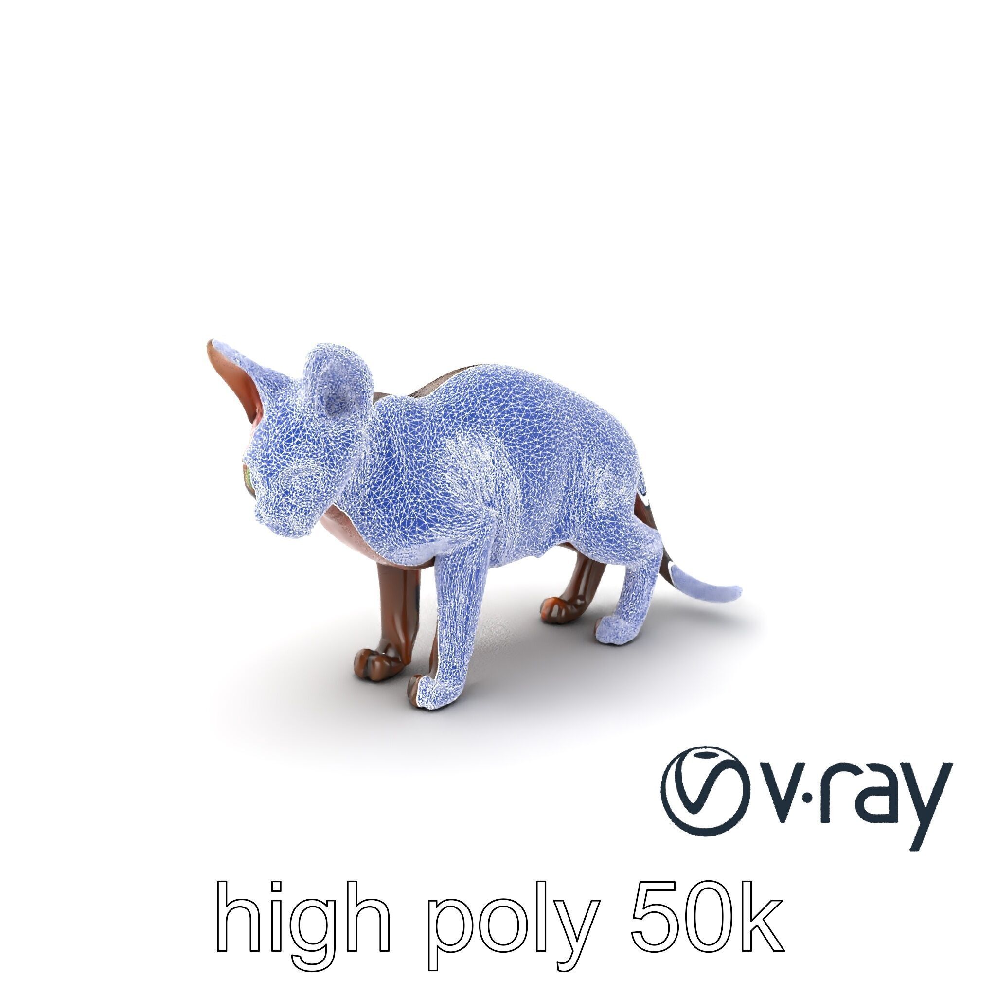 MidnightWhisker Sphynx Cat model pack Low-poly 3D model_58