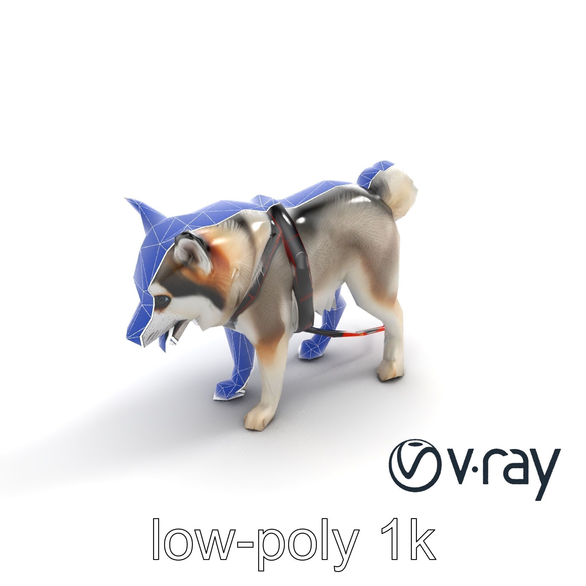 MidnightWhisker Sphynx Cat model pack Low-poly 3D model_23