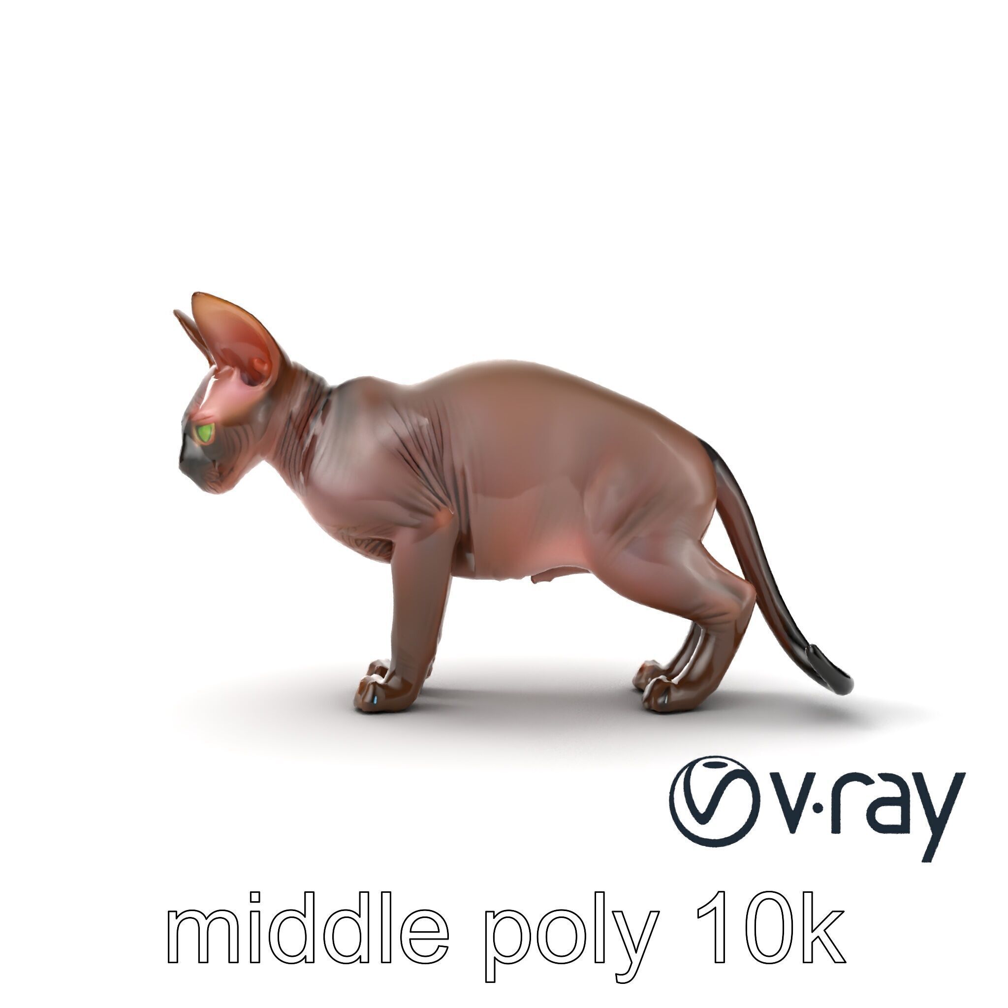 MidnightWhisker Sphynx Cat model pack Low-poly 3D model_44
