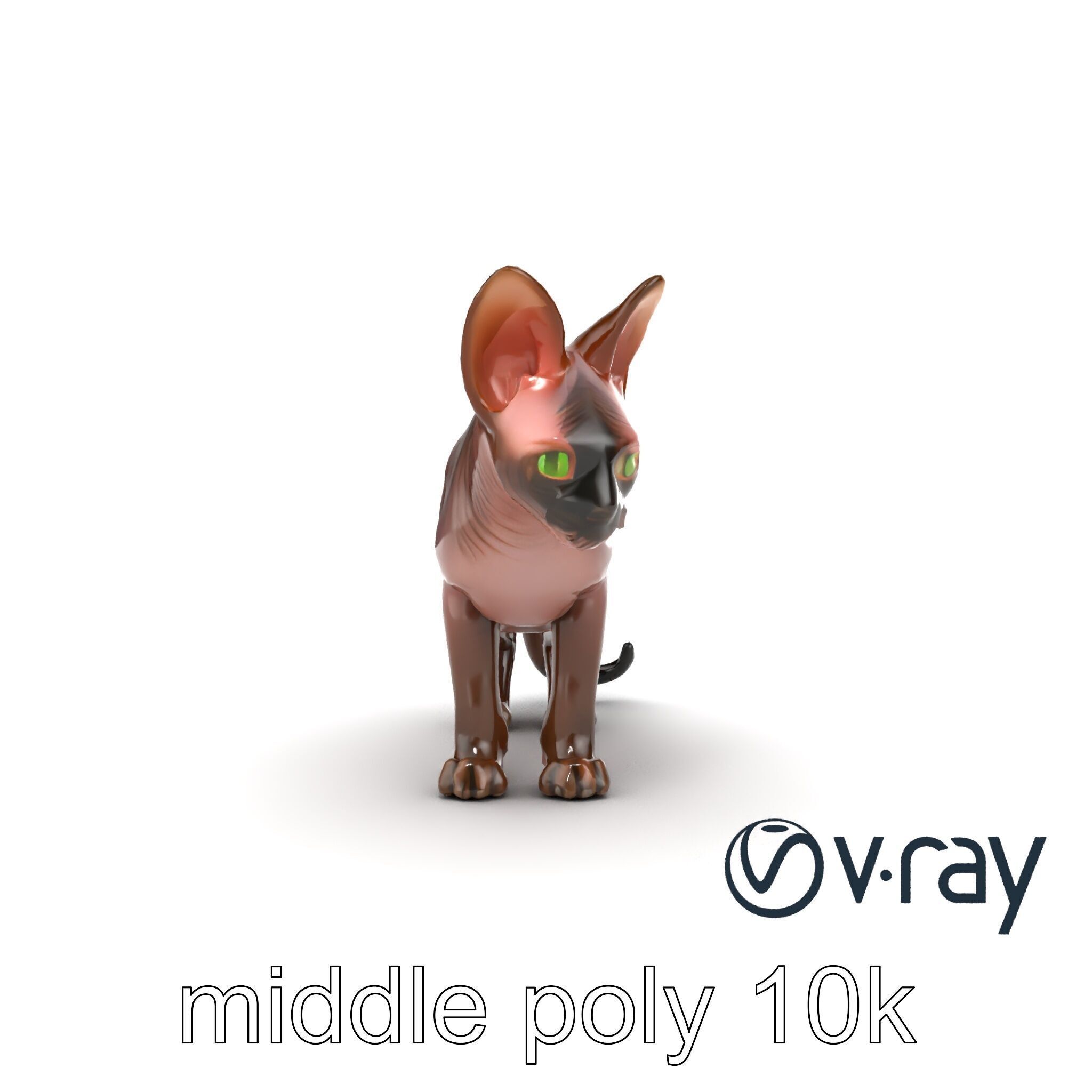 MidnightWhisker Sphynx Cat model pack Low-poly 3D model_45