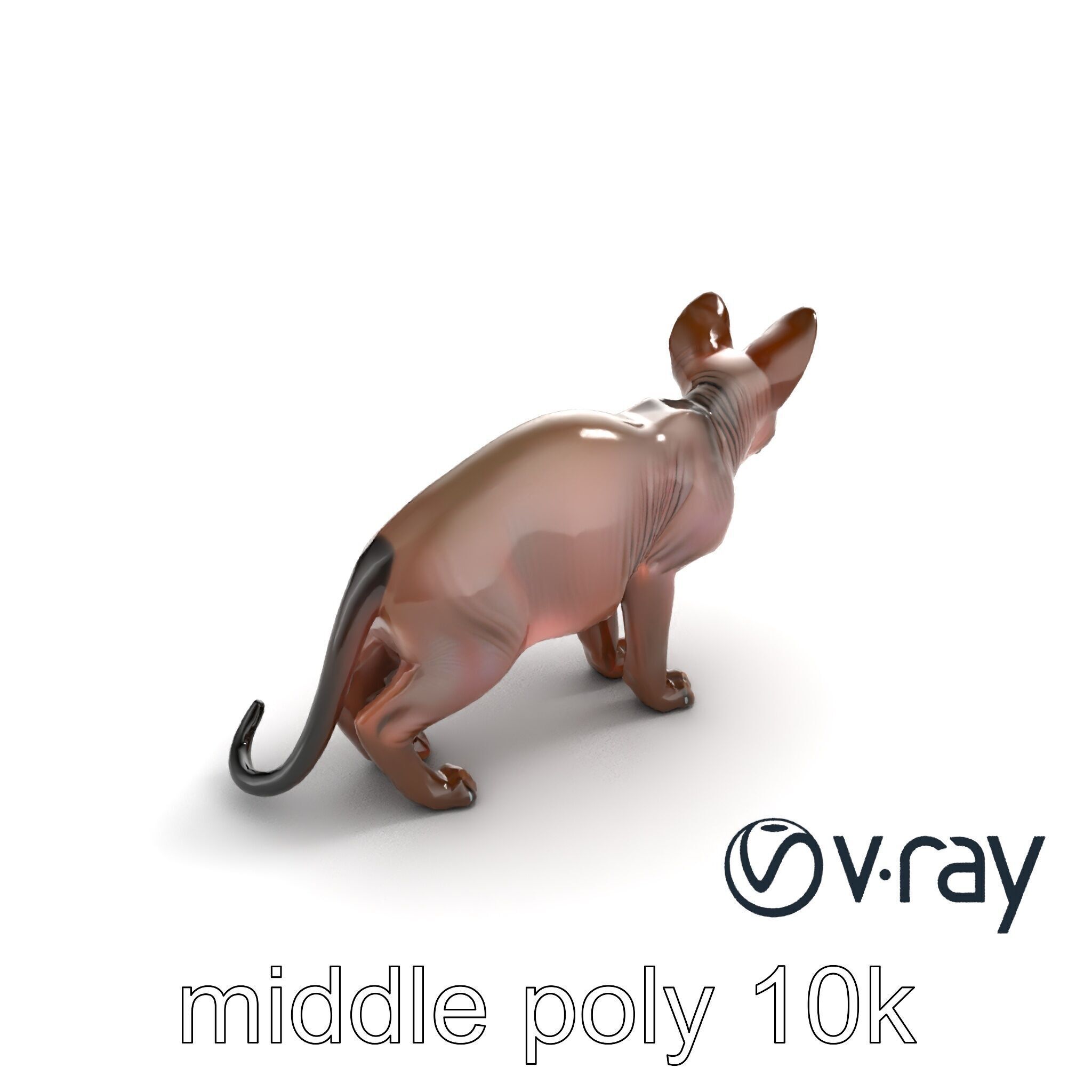 MidnightWhisker Sphynx Cat model pack Low-poly 3D model_38
