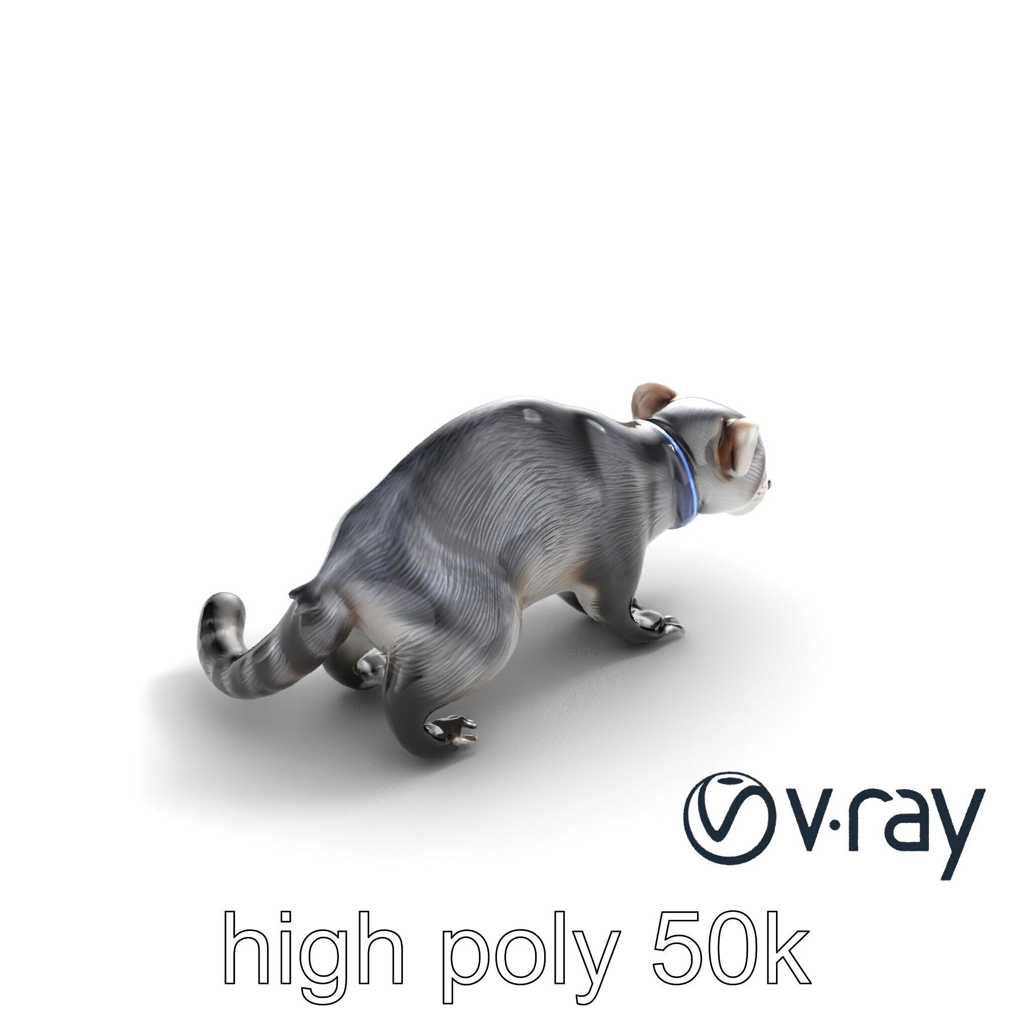CyberClaw Ferret Tech Accessory model pack Low-poly 3D model_13